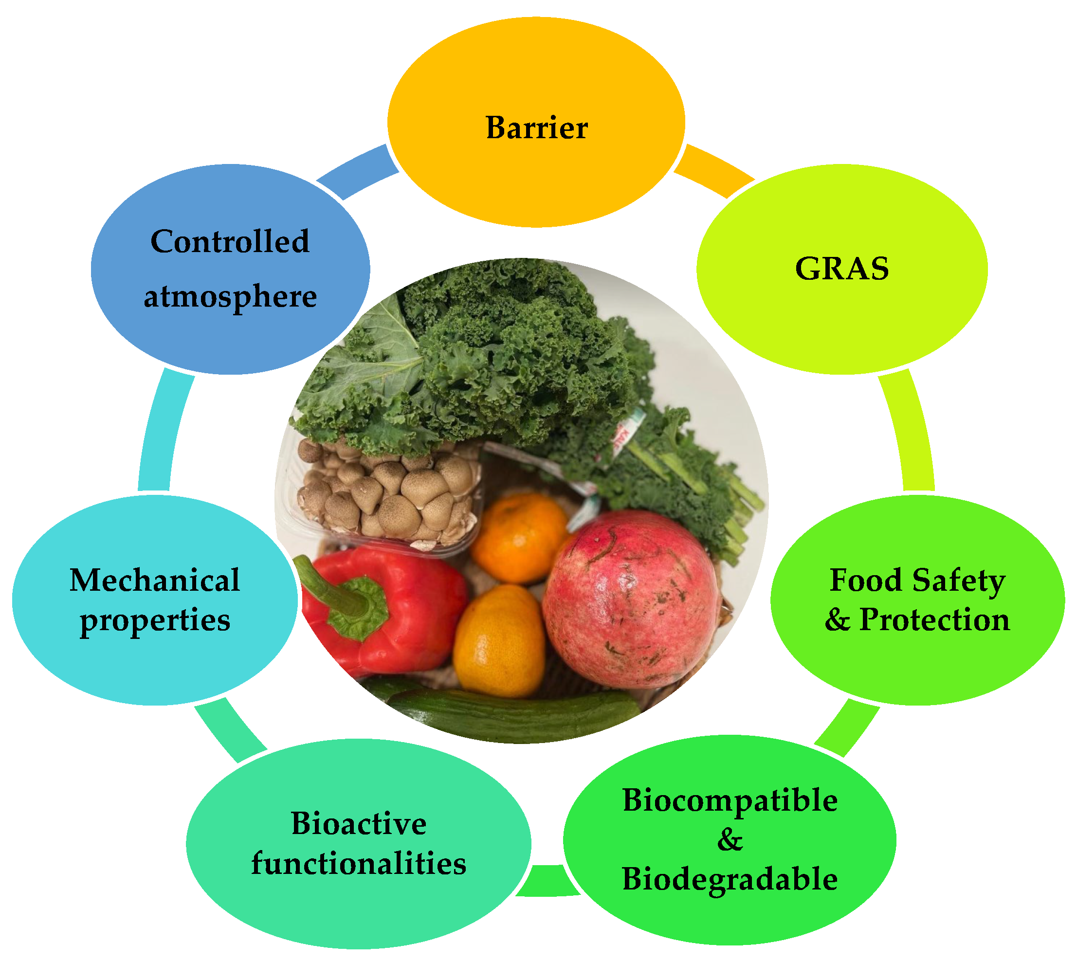 Coatings 13 01177 g002