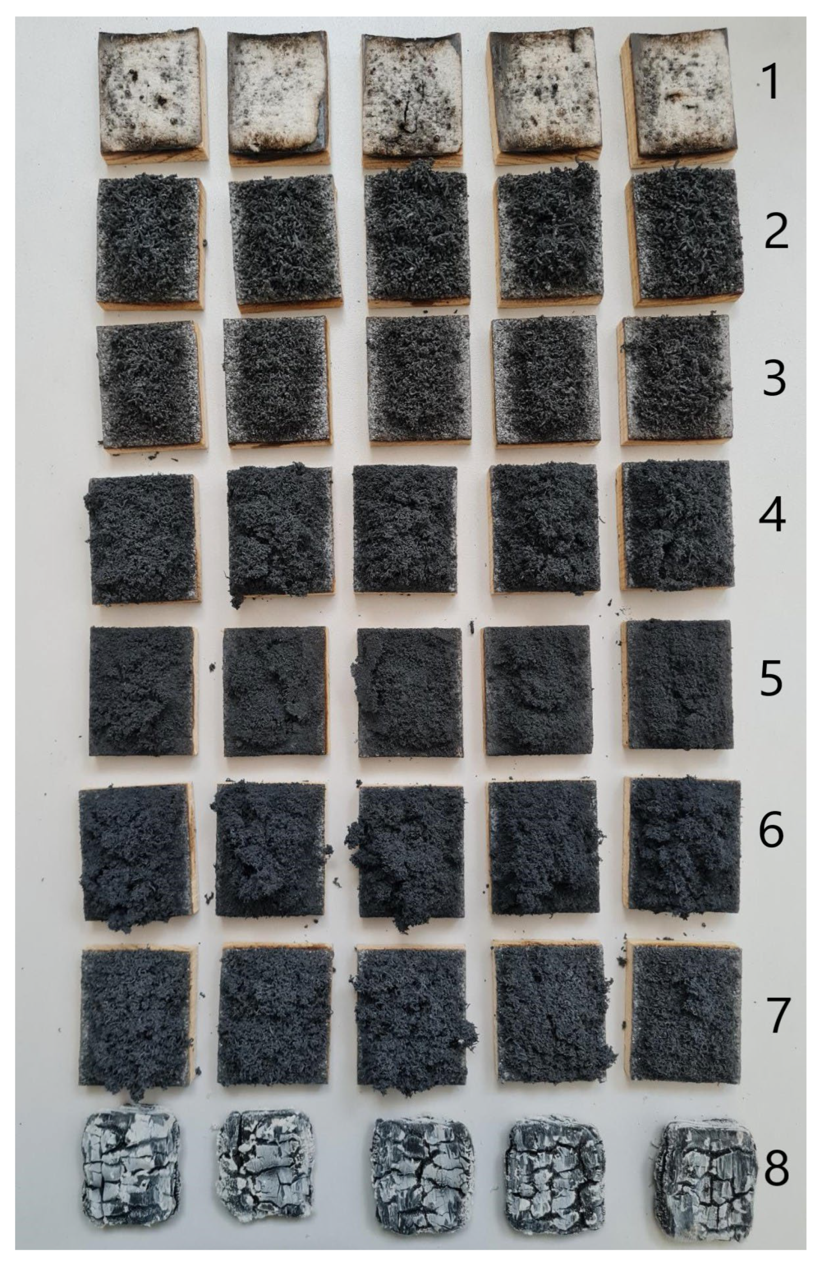 Coatings 13 01181 g002
