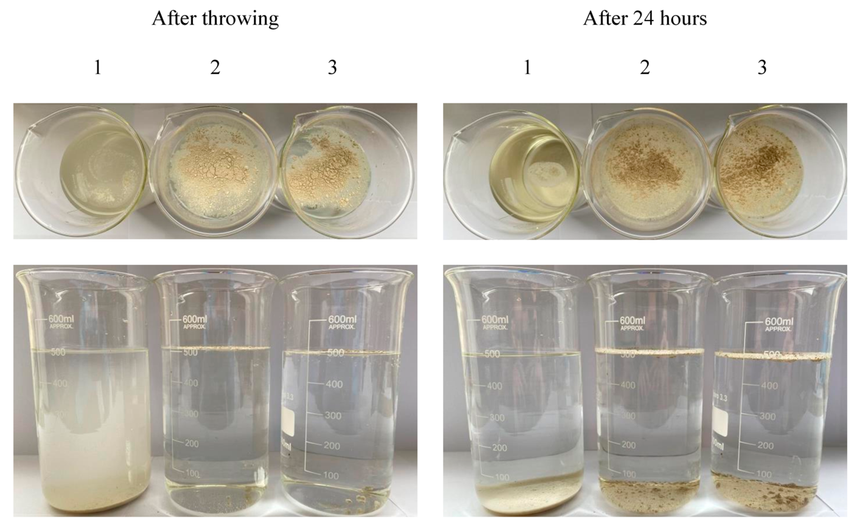 Coatings 13 01183 g009