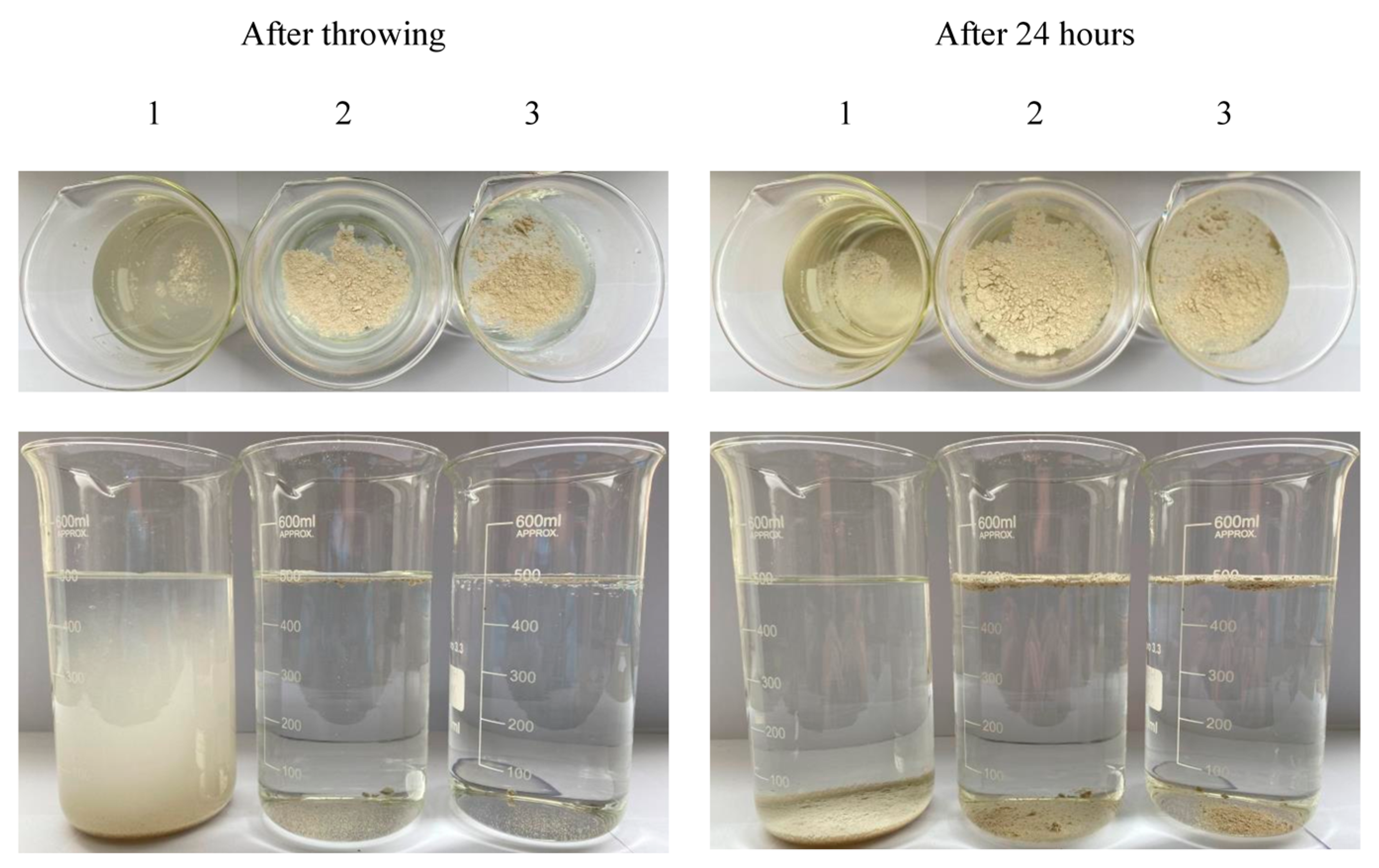 Coatings 13 01183 g010