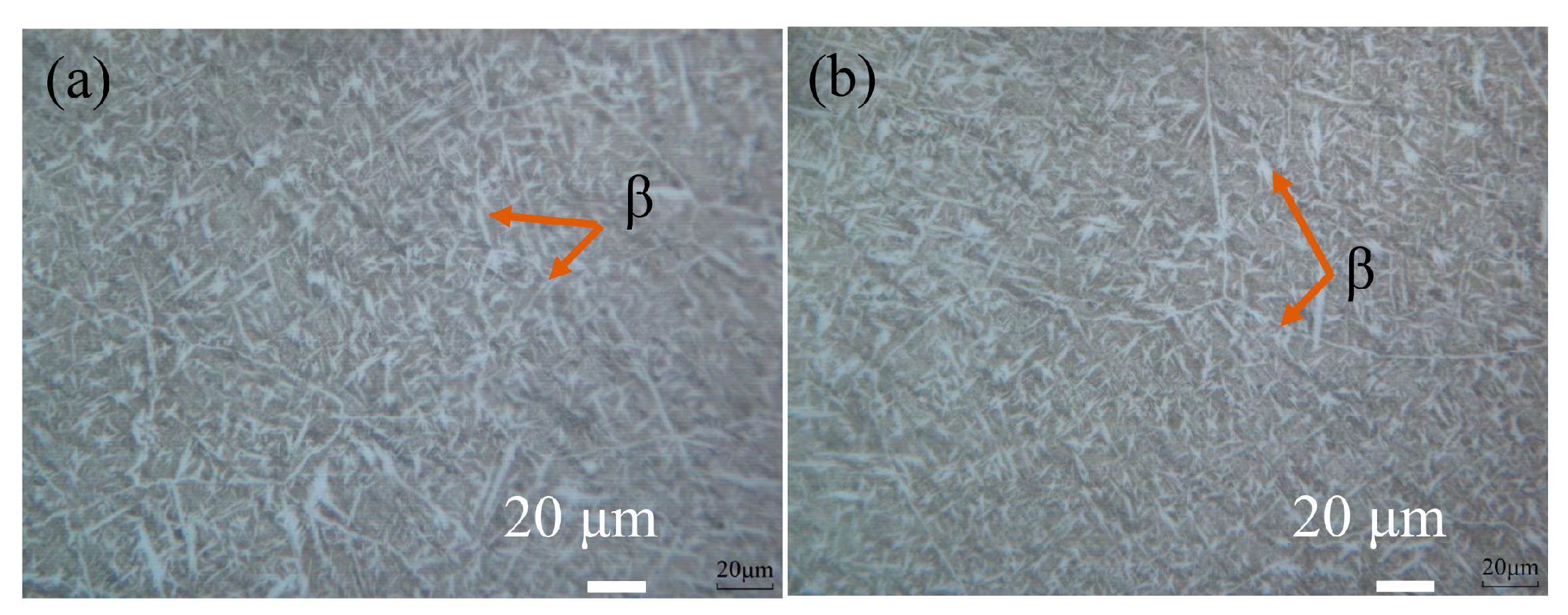 Coatings 13 01186 g005