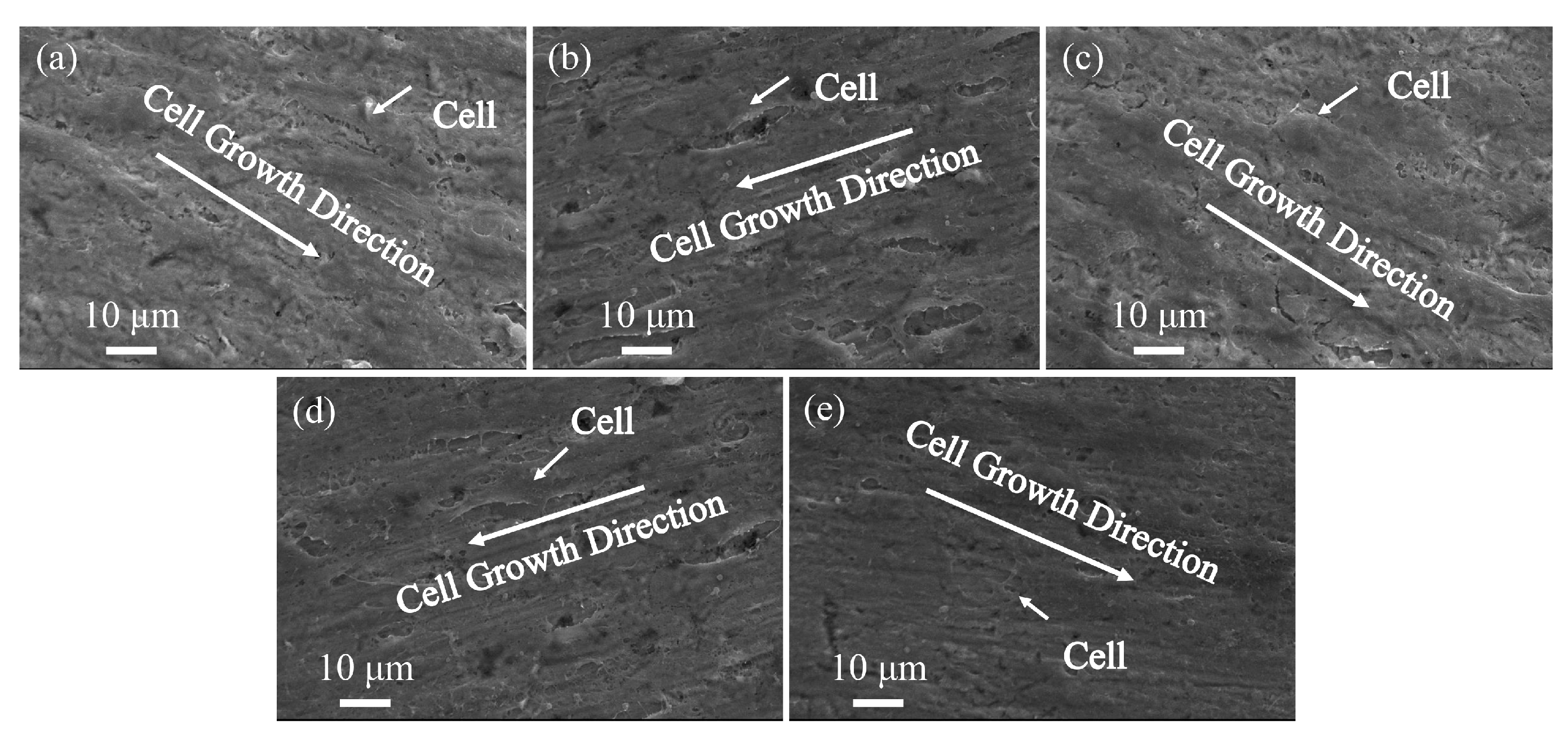 Coatings 13 01186 g014