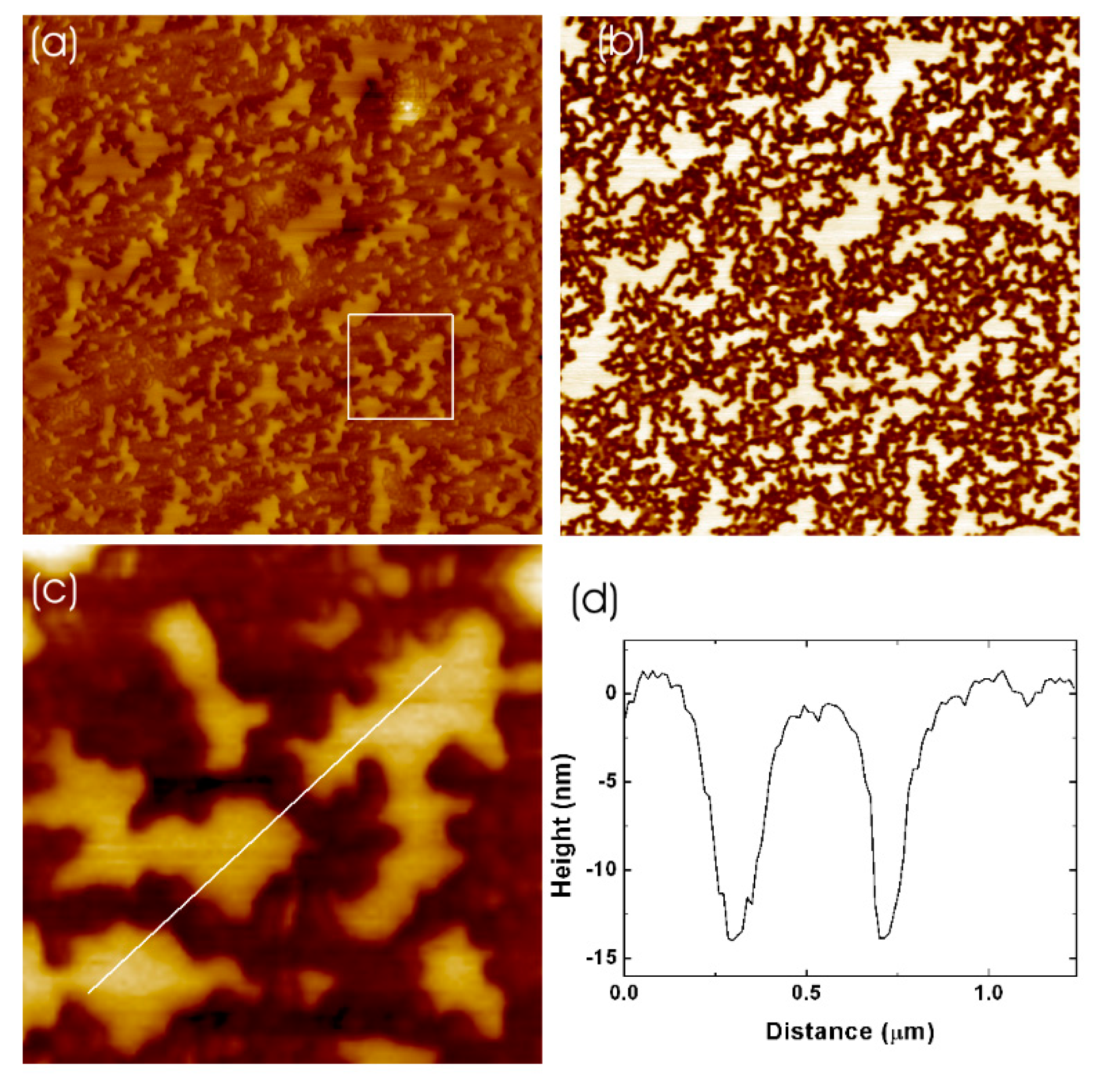 Coatings 13 01187 g001
