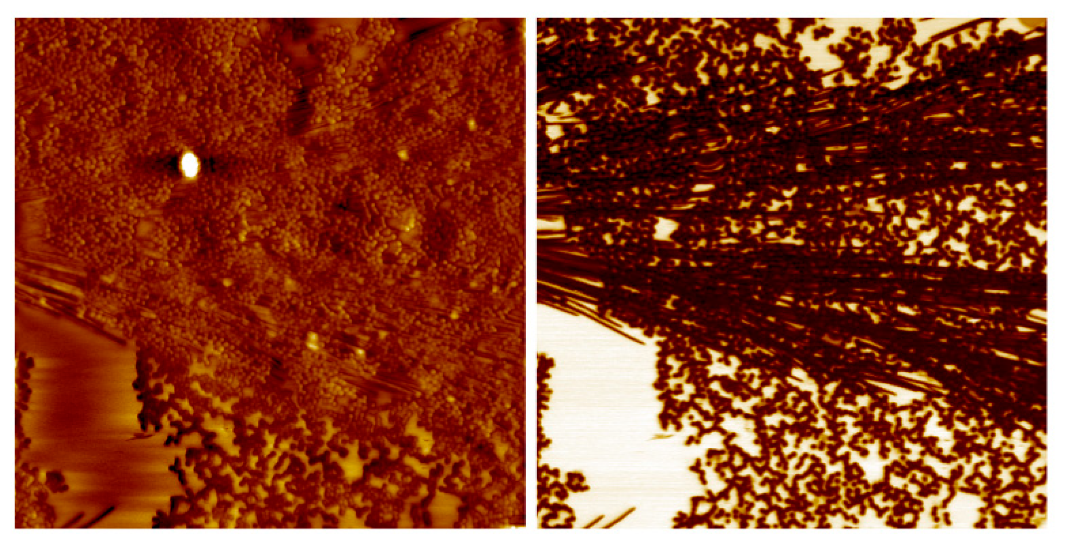 Coatings 13 01187 g002