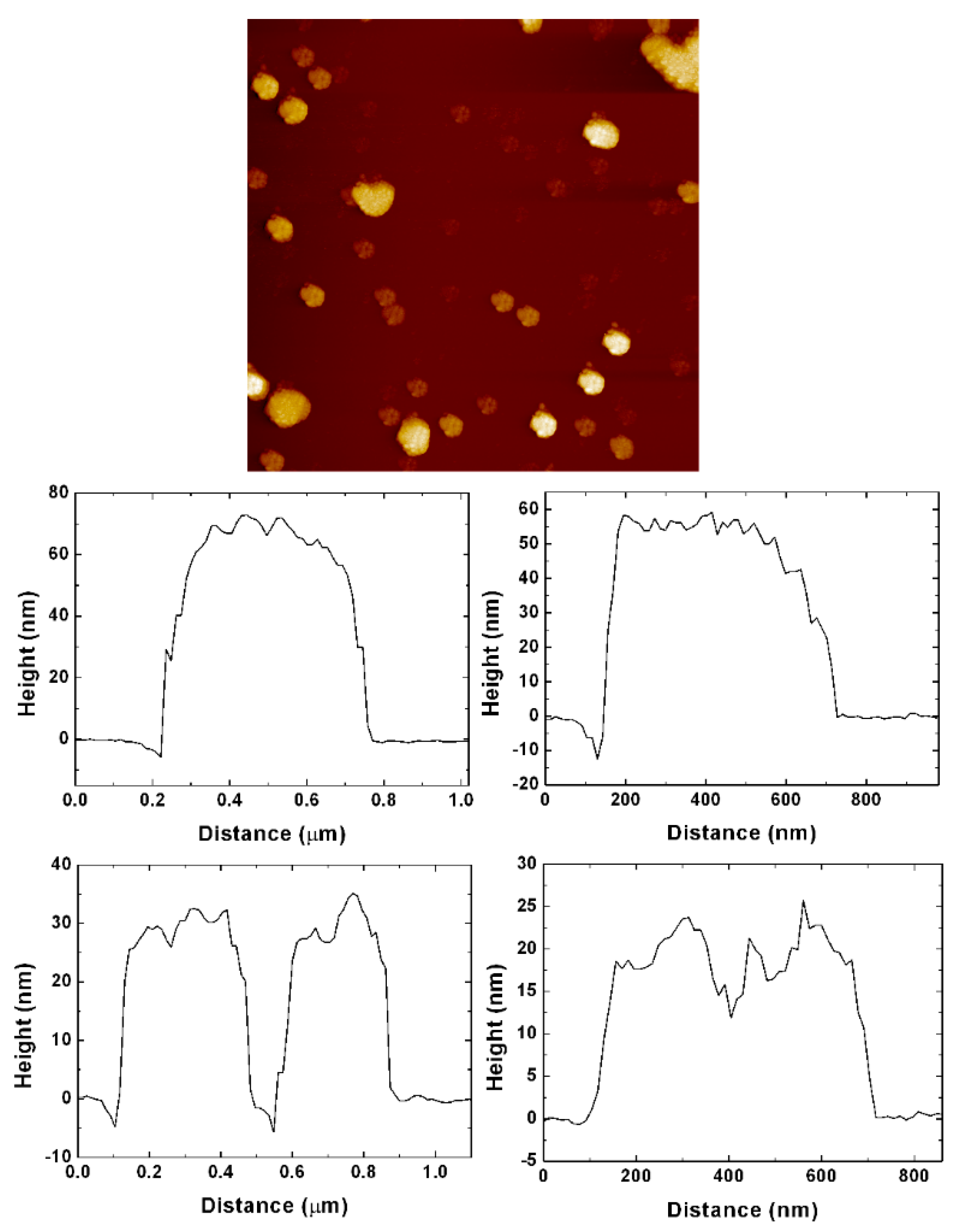 Coatings 13 01187 g003