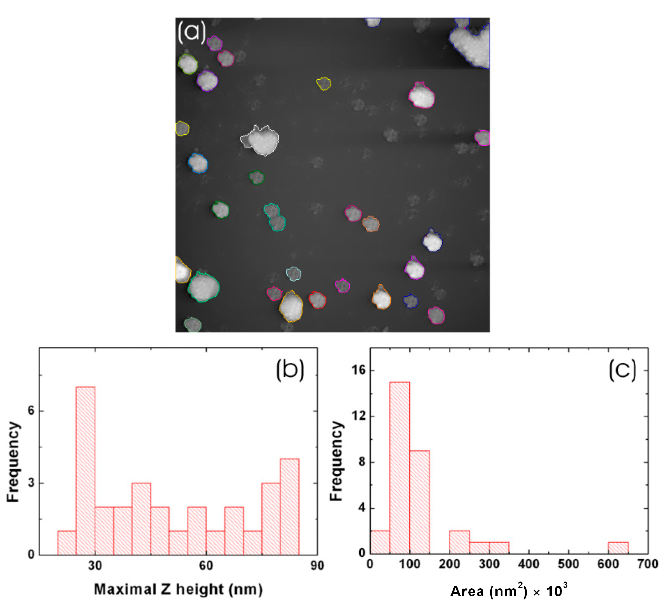 Coatings 13 01187 g004