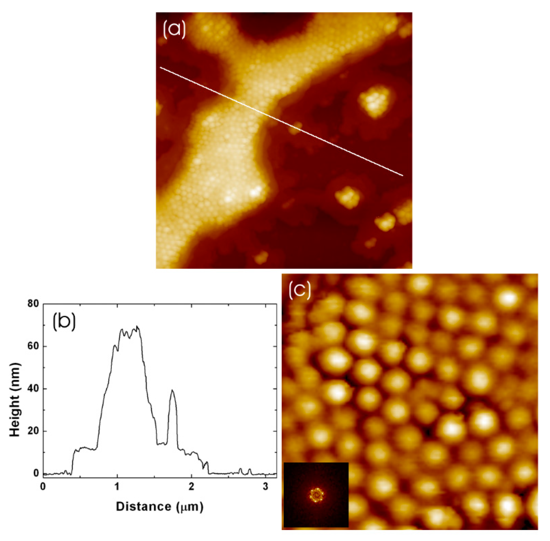 Coatings 13 01187 g006
