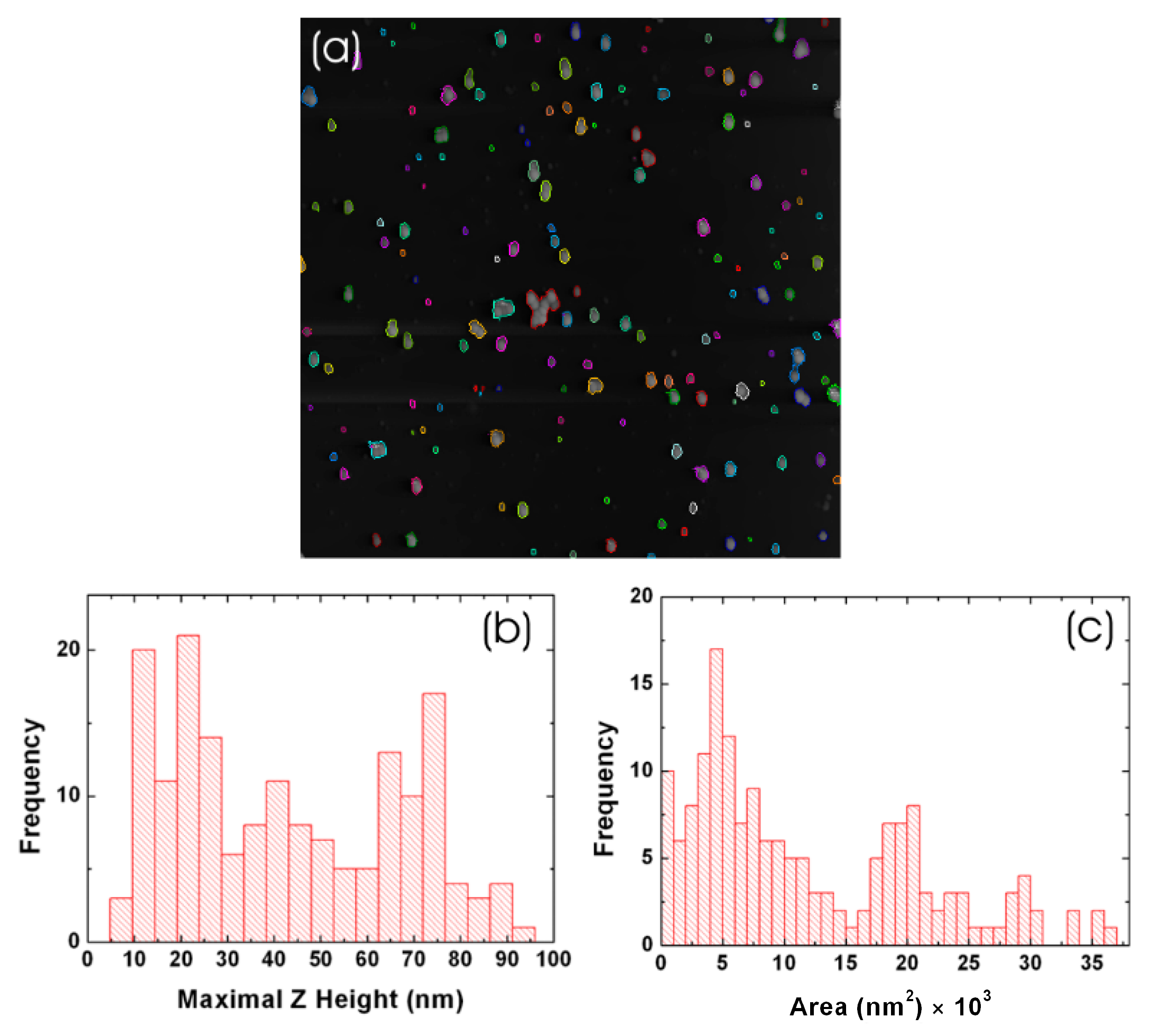 Coatings 13 01187 g008