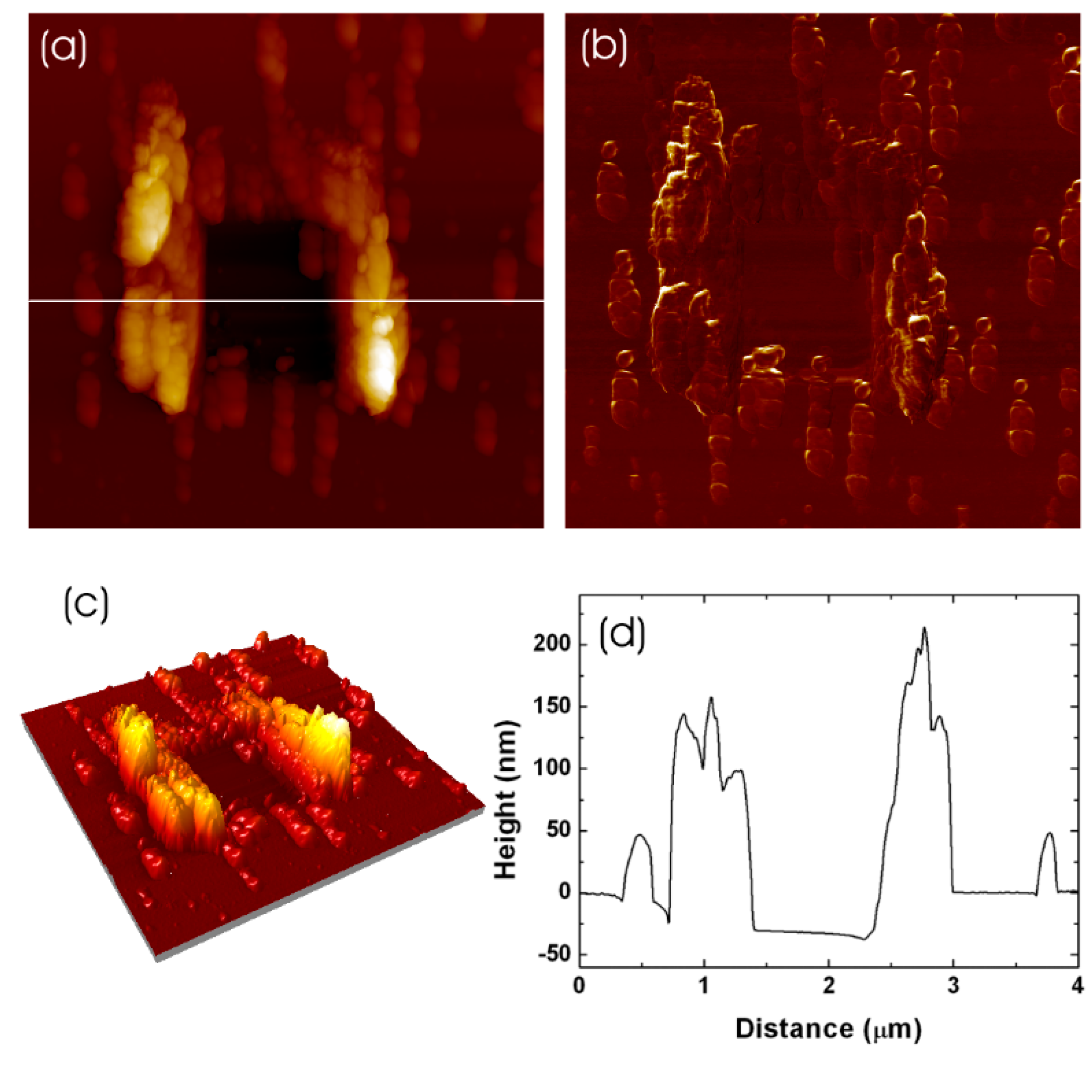 Coatings 13 01187 g009