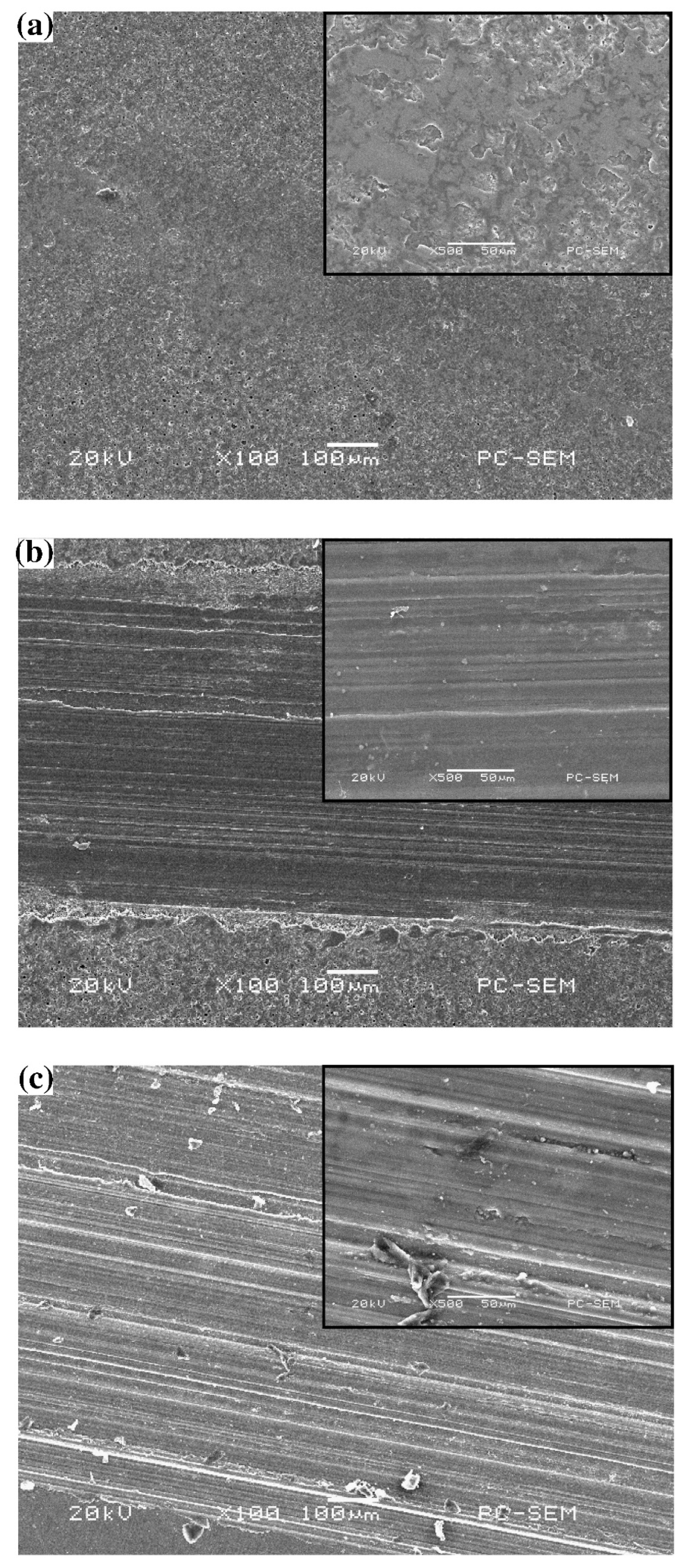 Coatings 13 01189 g003