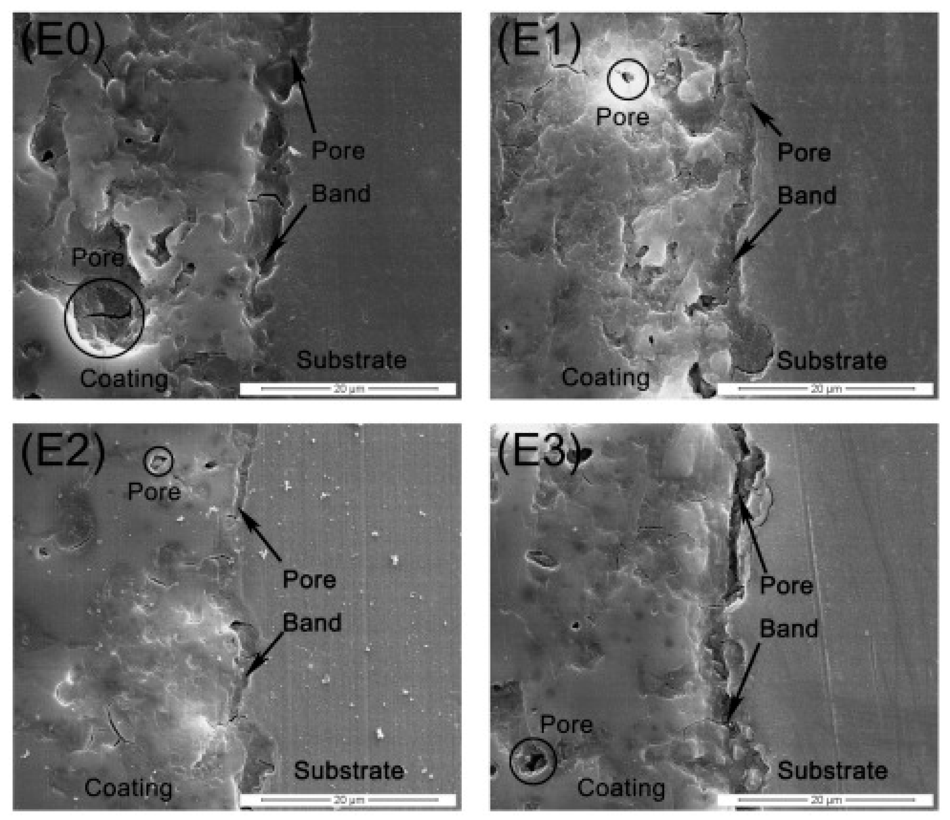 Coatings 13 01189 g004