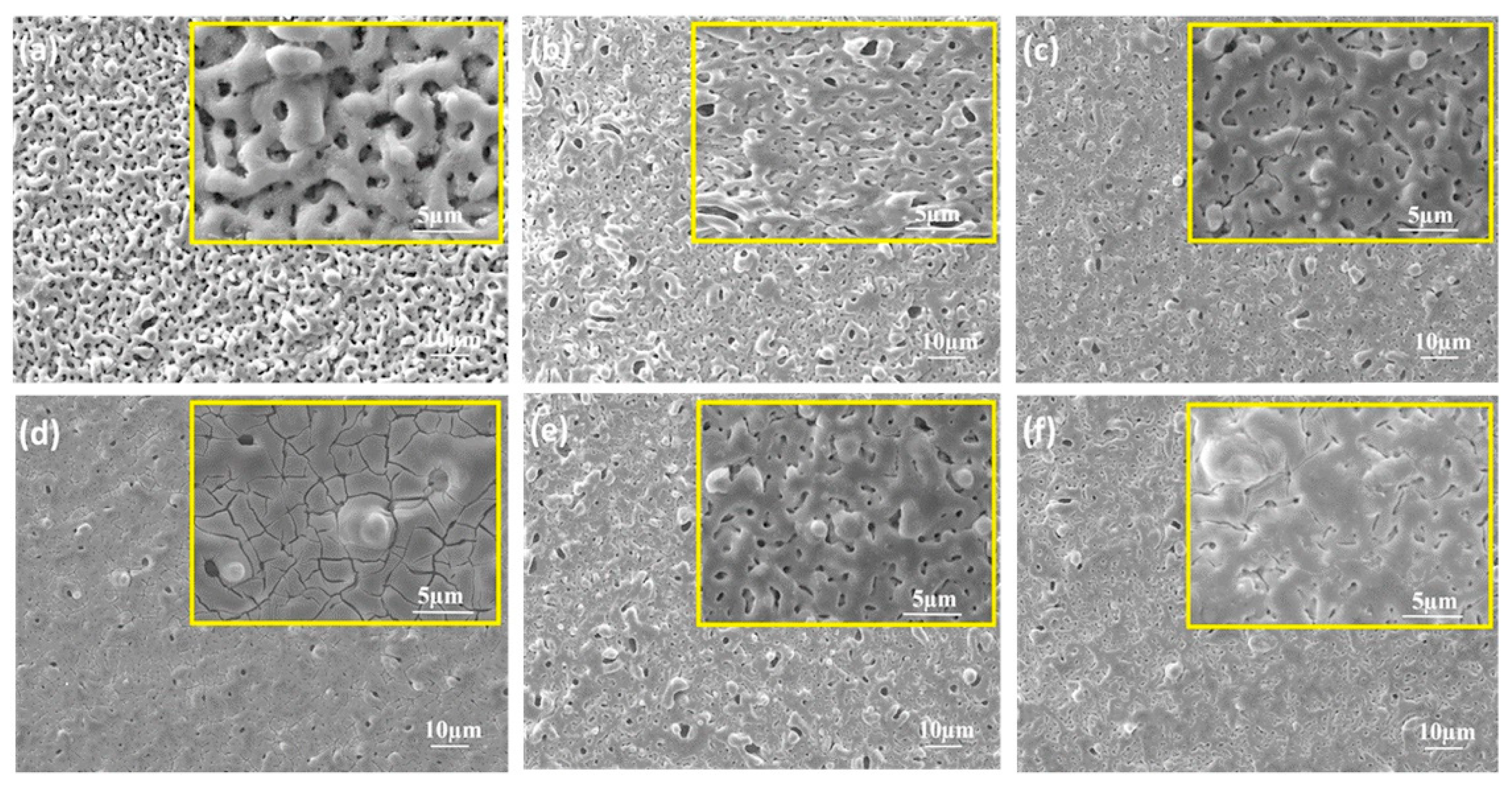 Coatings 13 01189 g009