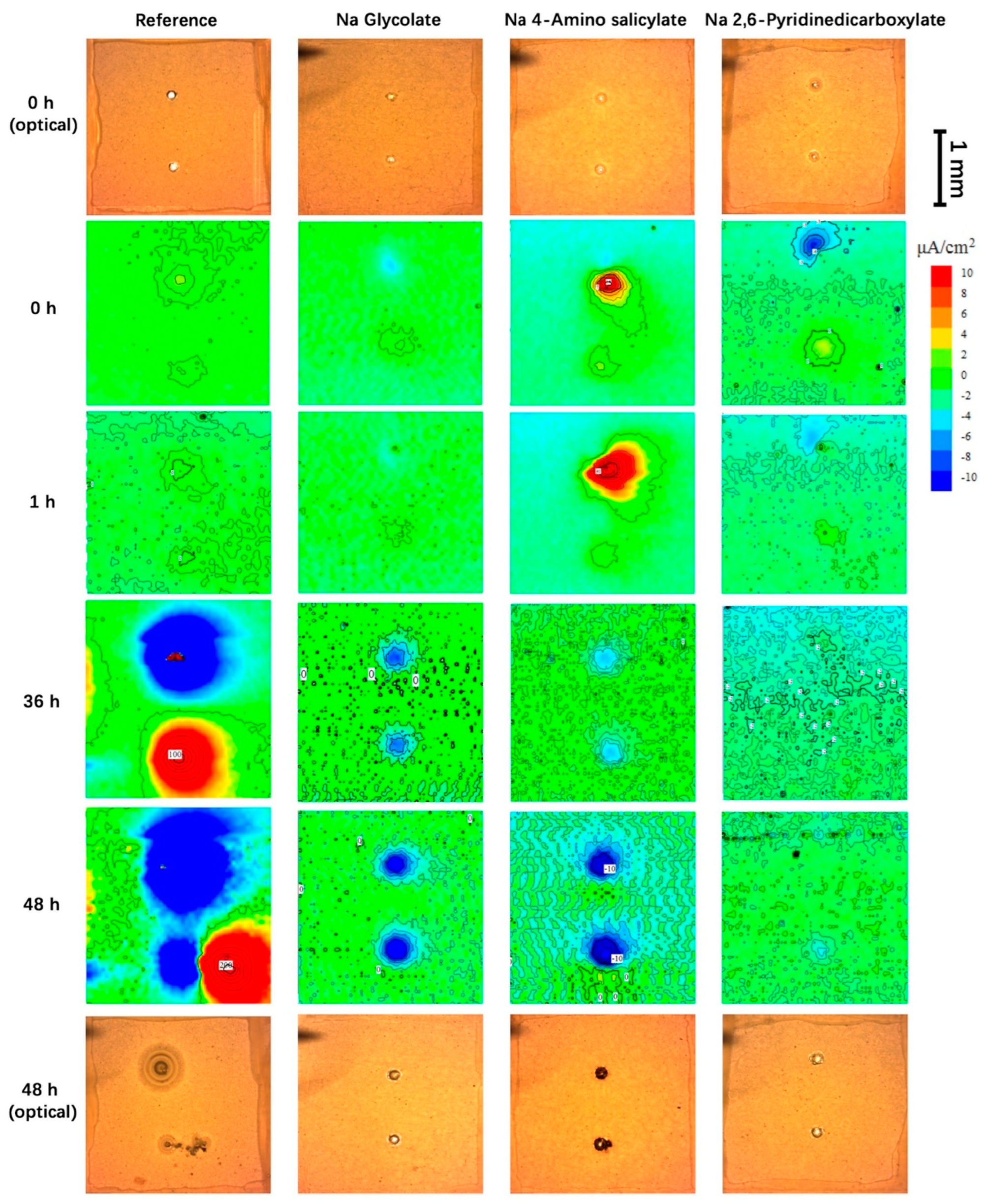 Coatings 13 01189 g011
