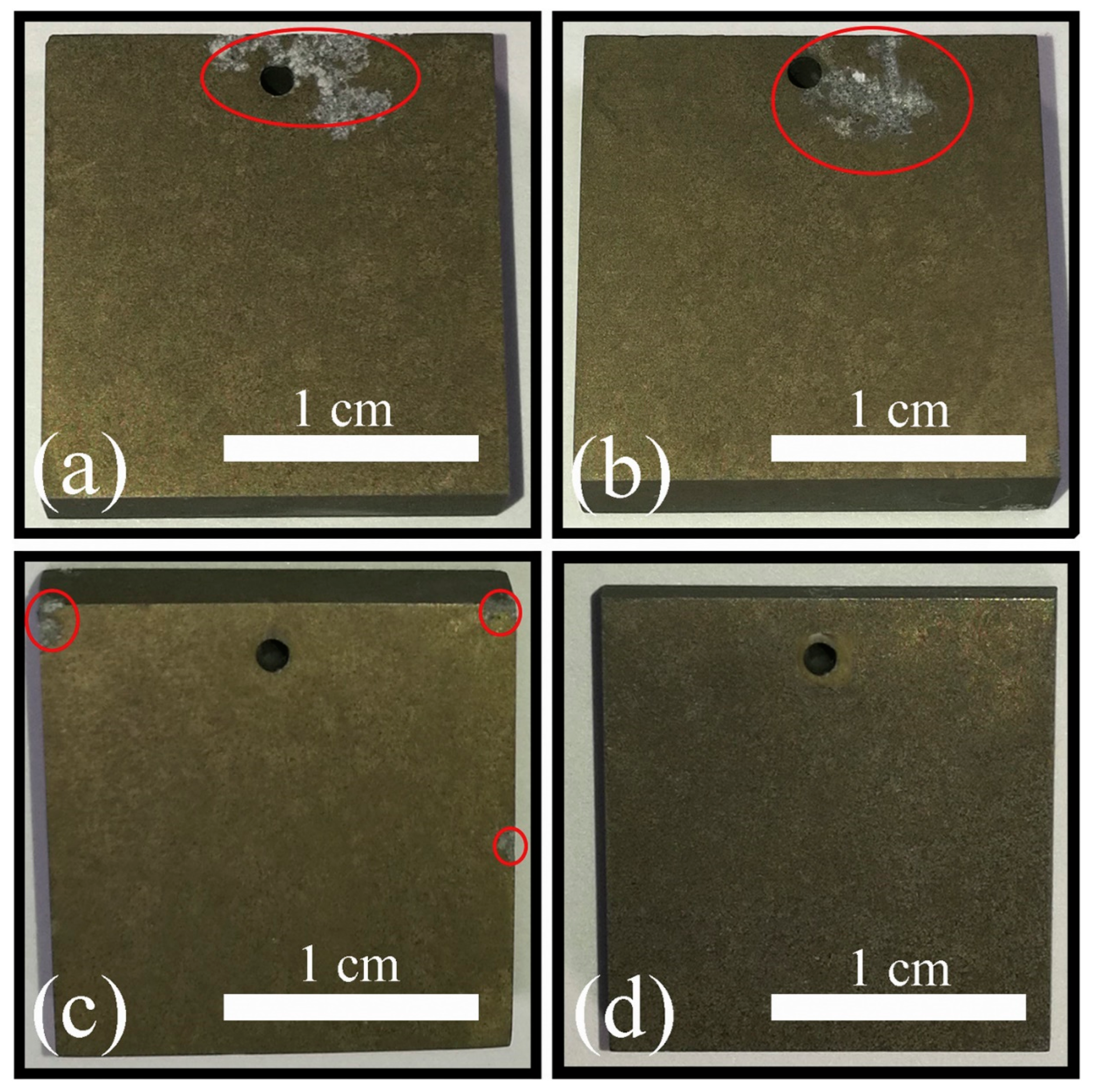 Coatings 13 01189 g013