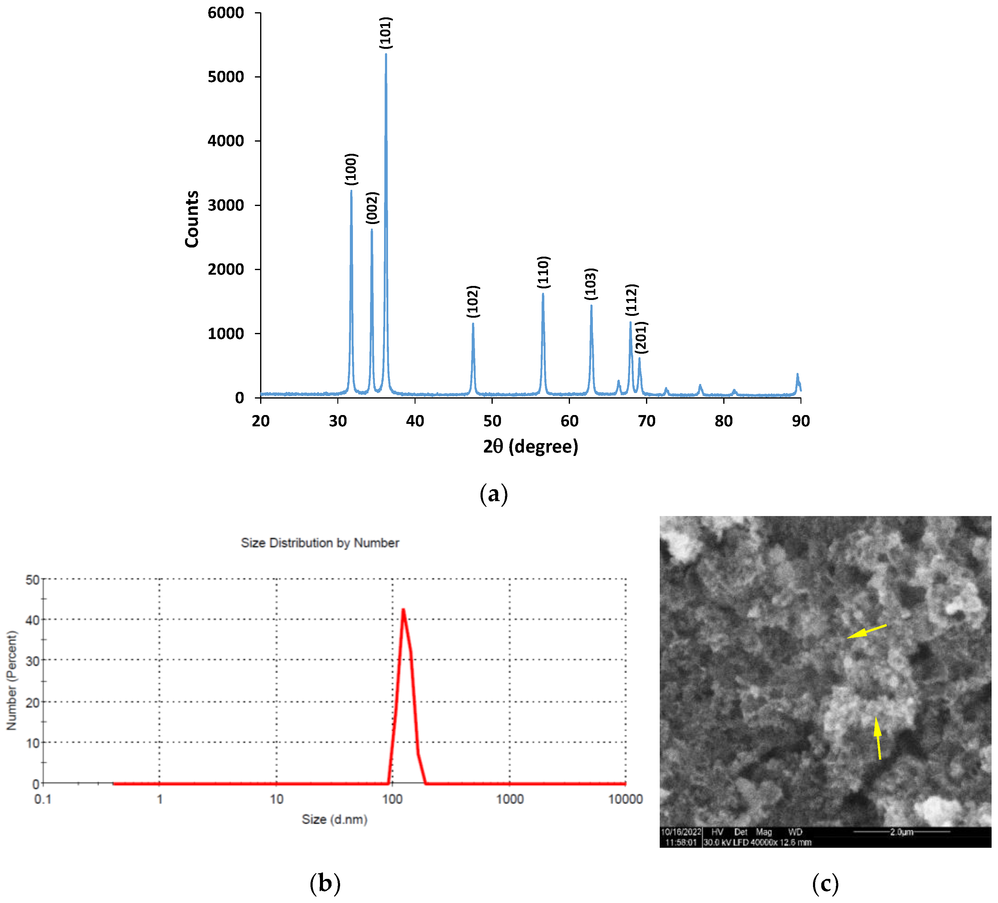 Coatings 13 01193 g001