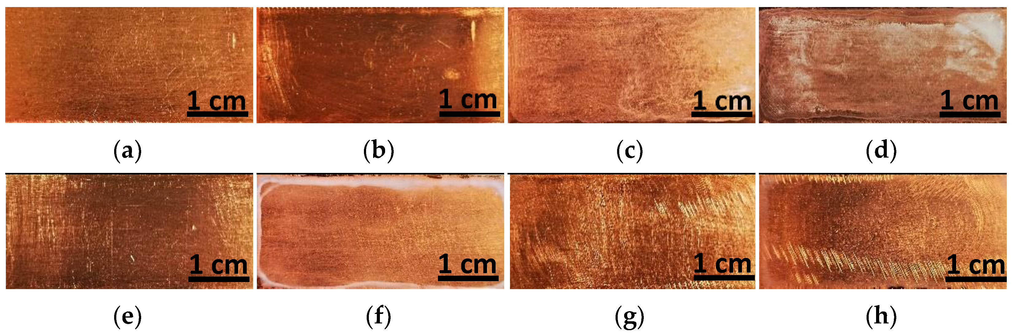Coatings 13 01193 g002