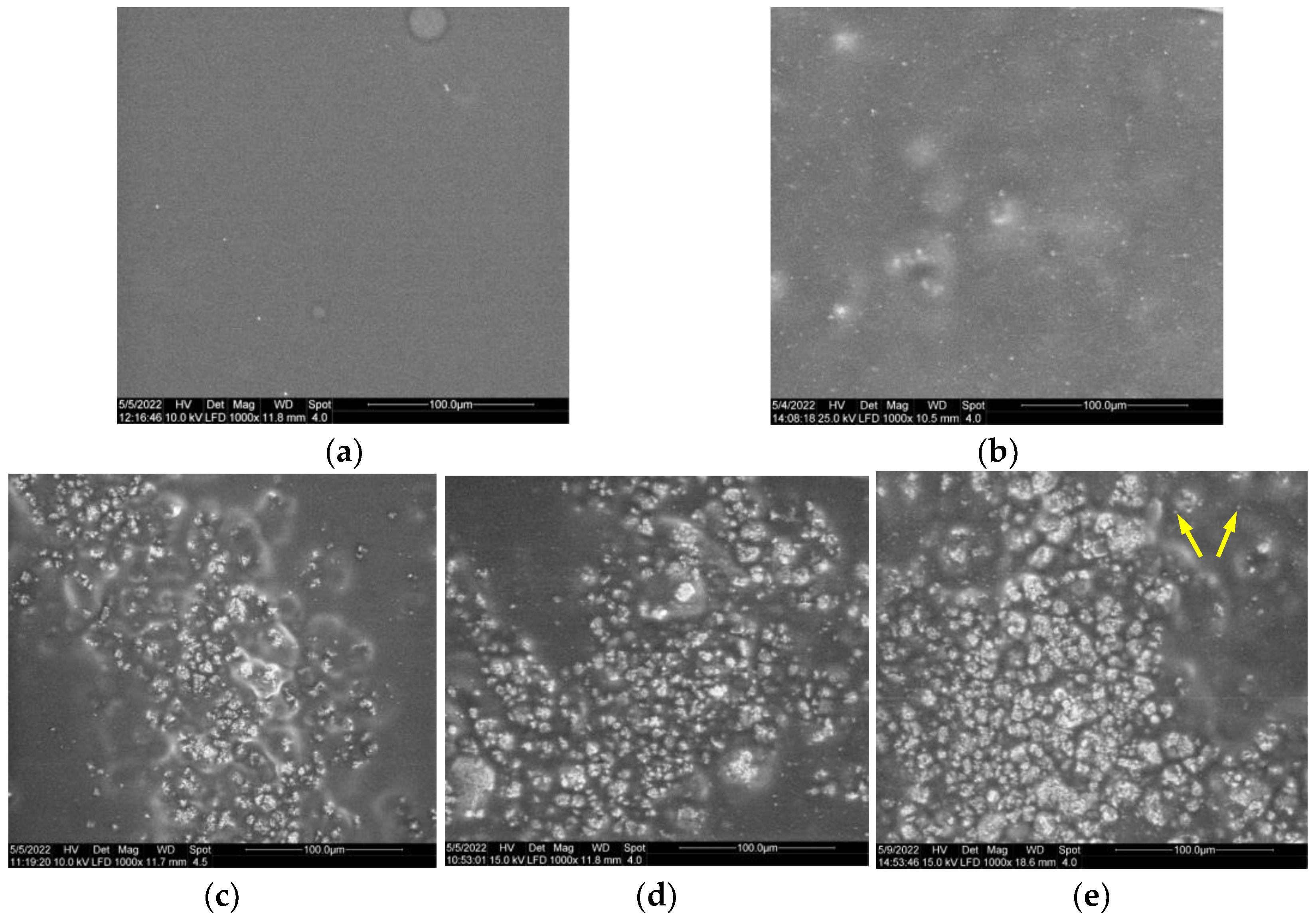 Coatings 13 01193 g005