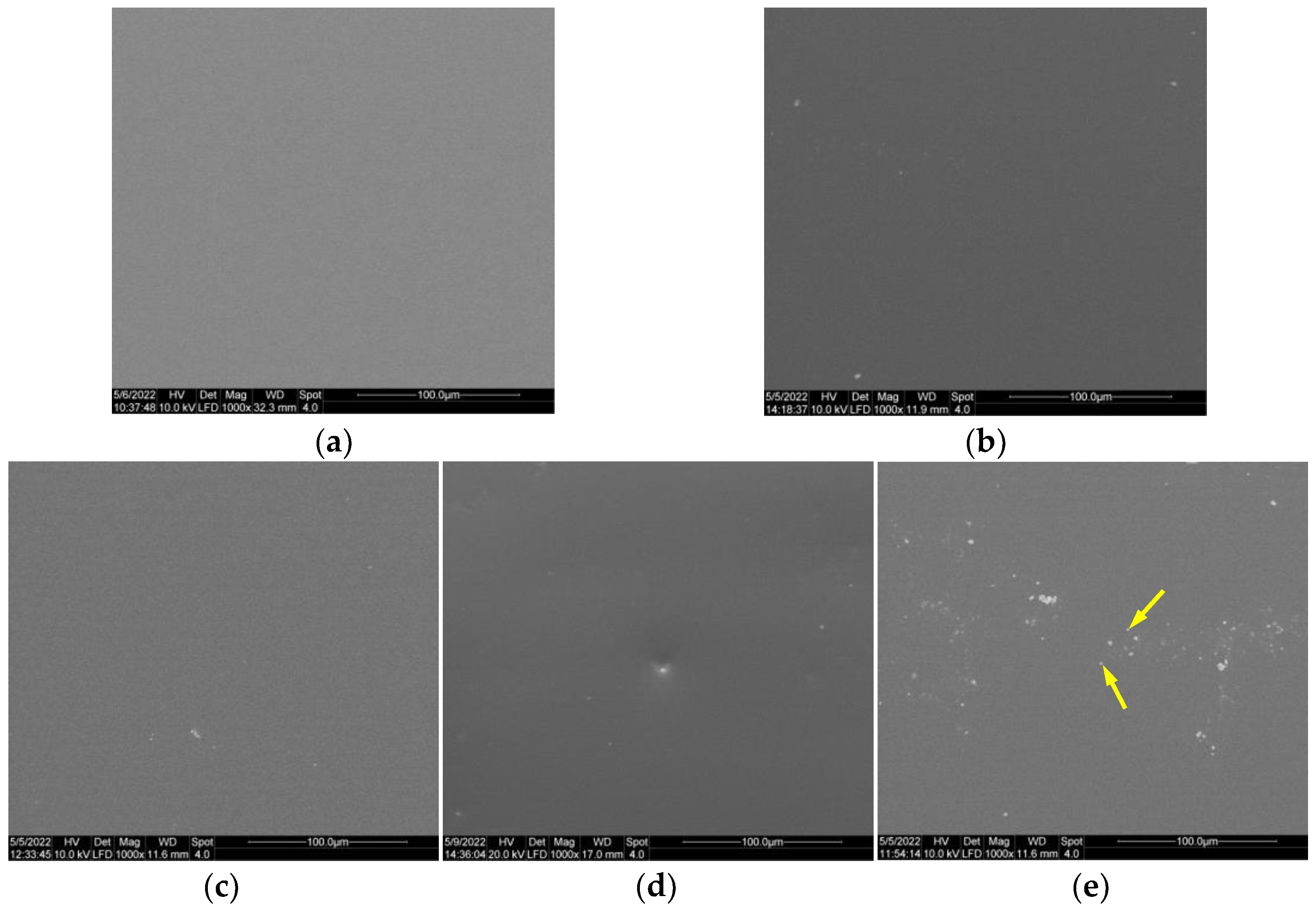 Coatings 13 01193 g006