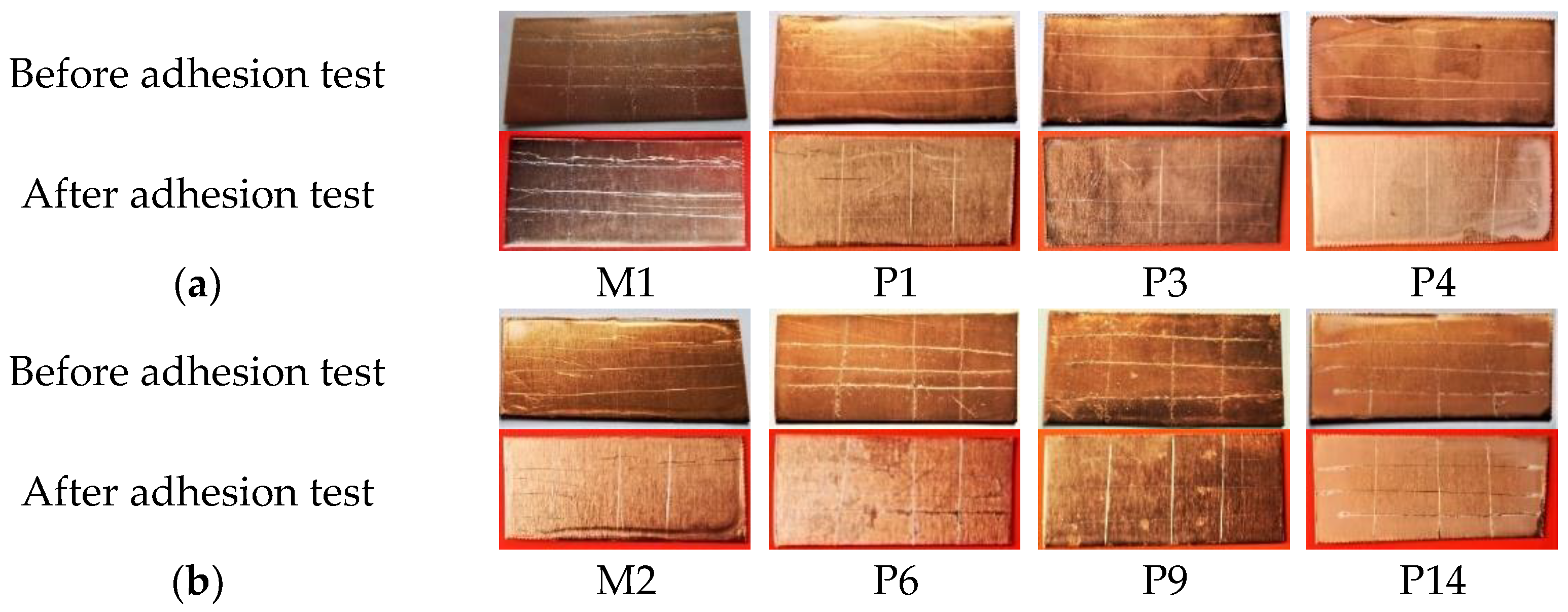Coatings 13 01193 g011