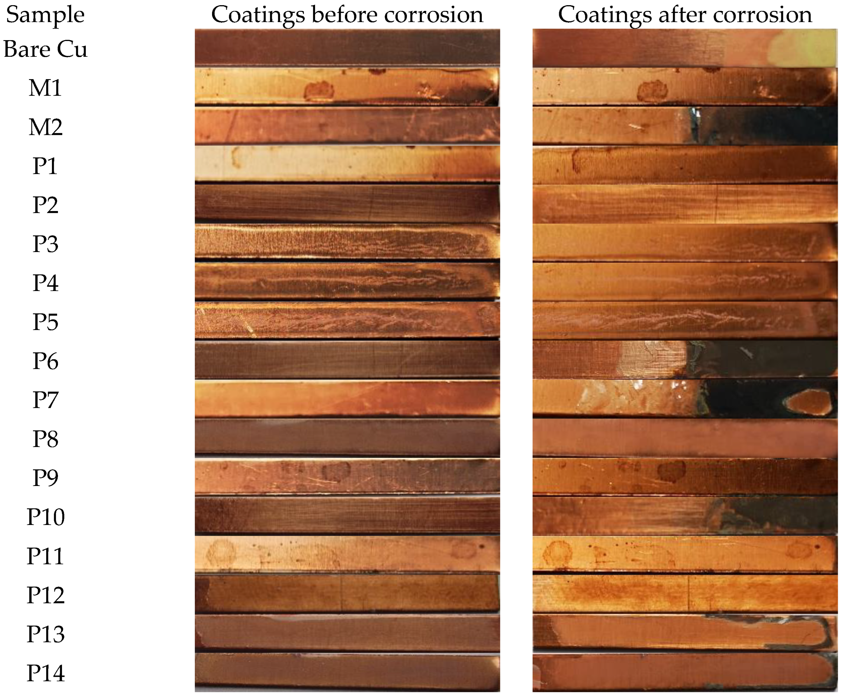 Coatings 13 01193 g012