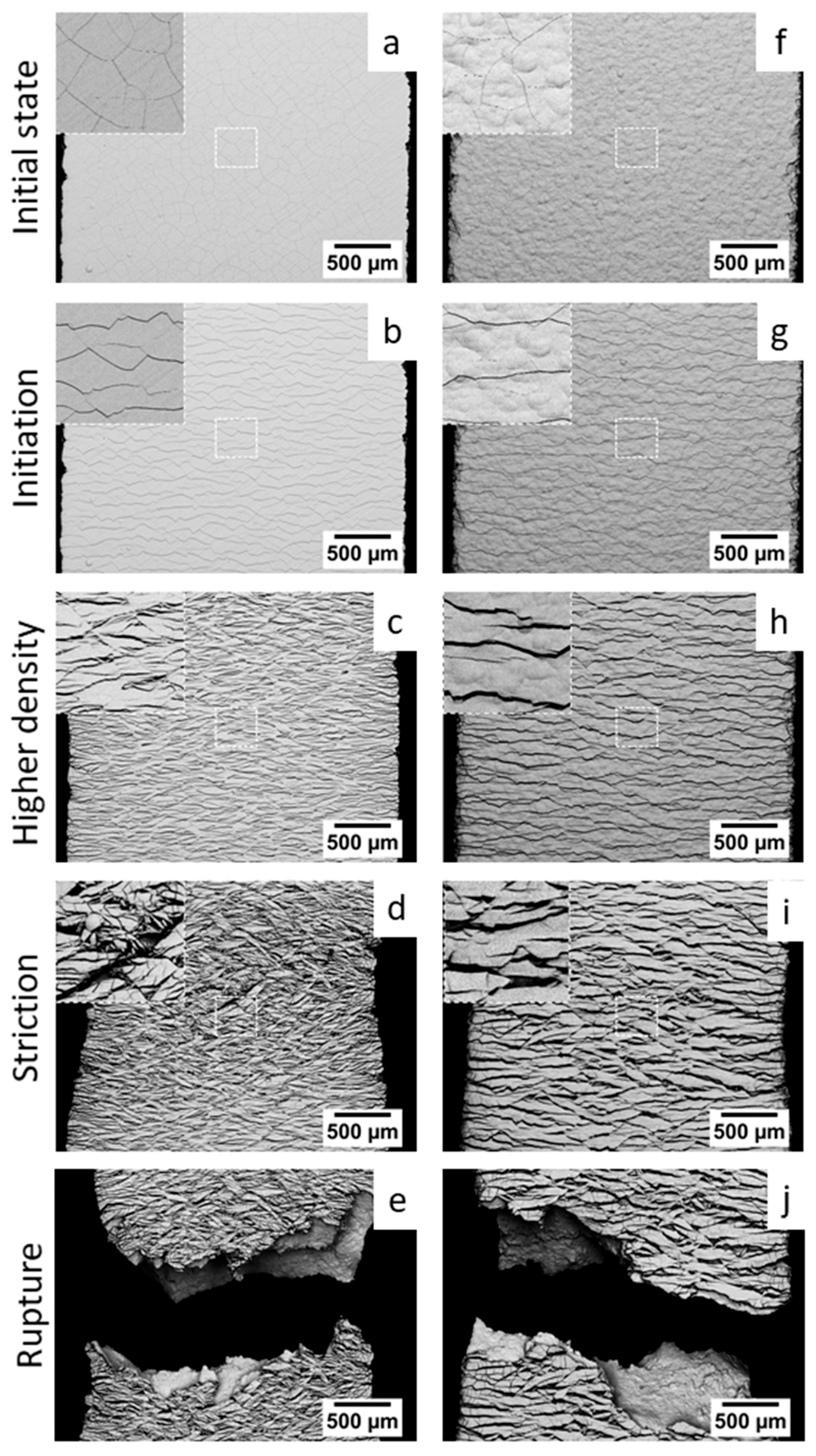 Coatings 13 01194 g005
