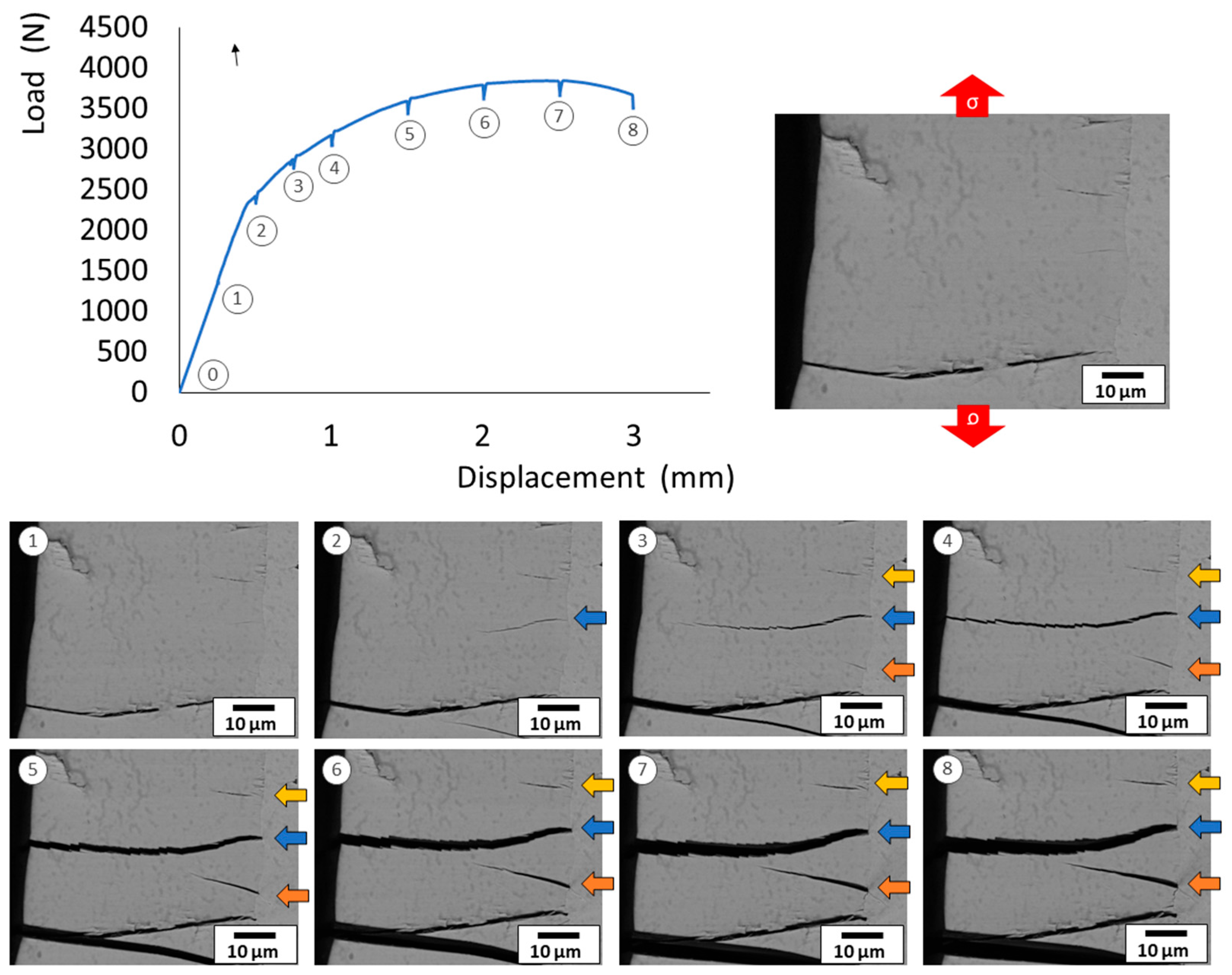 Coatings 13 01194 g010