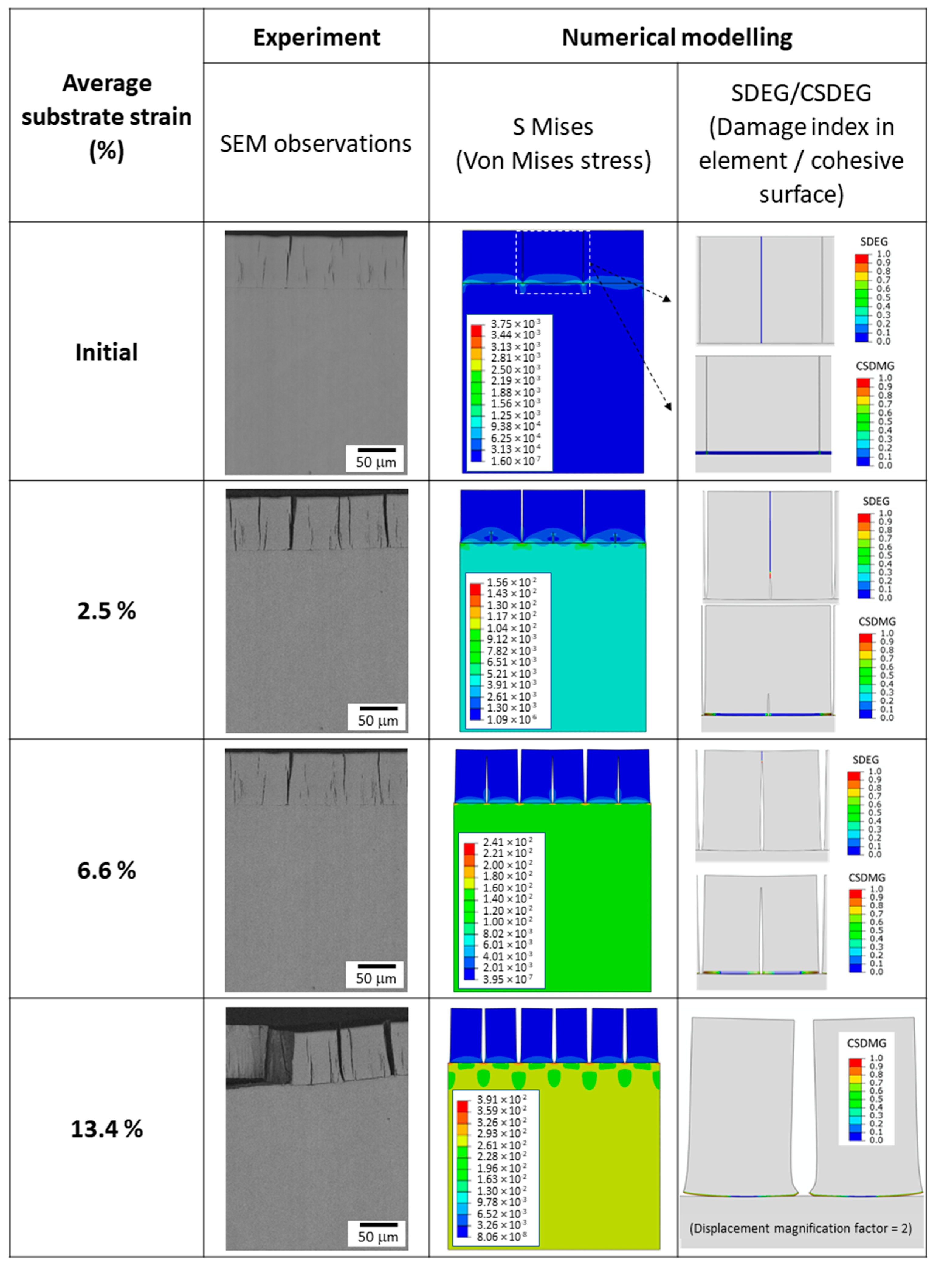 Coatings 13 01194 g013