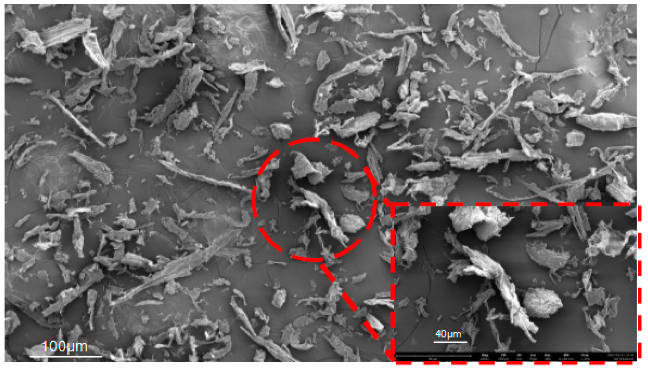 Coatings 13 01195 g002