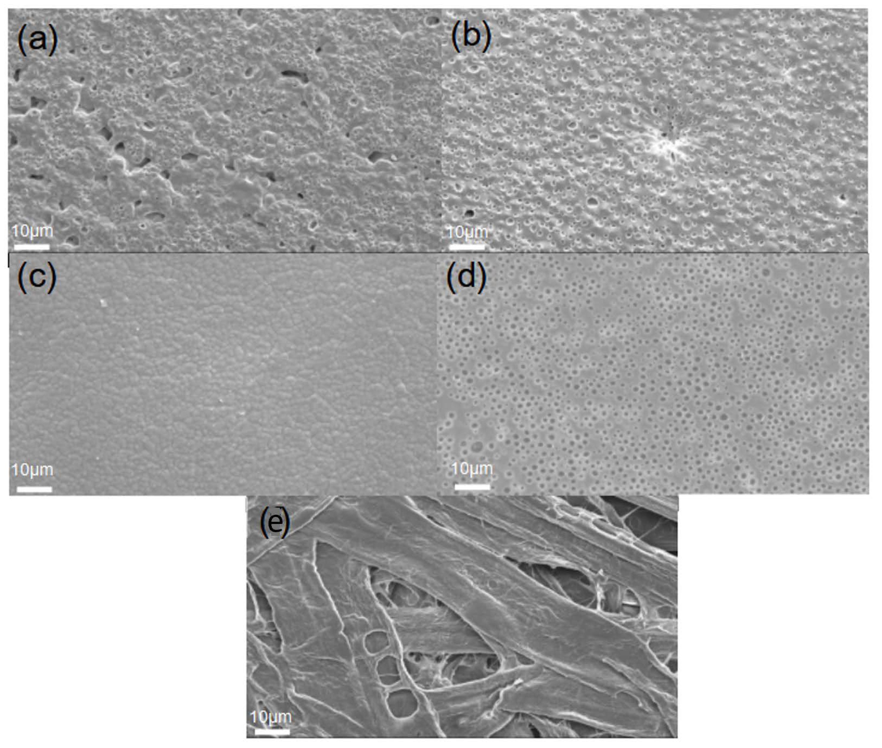 Coatings 13 01195 g004