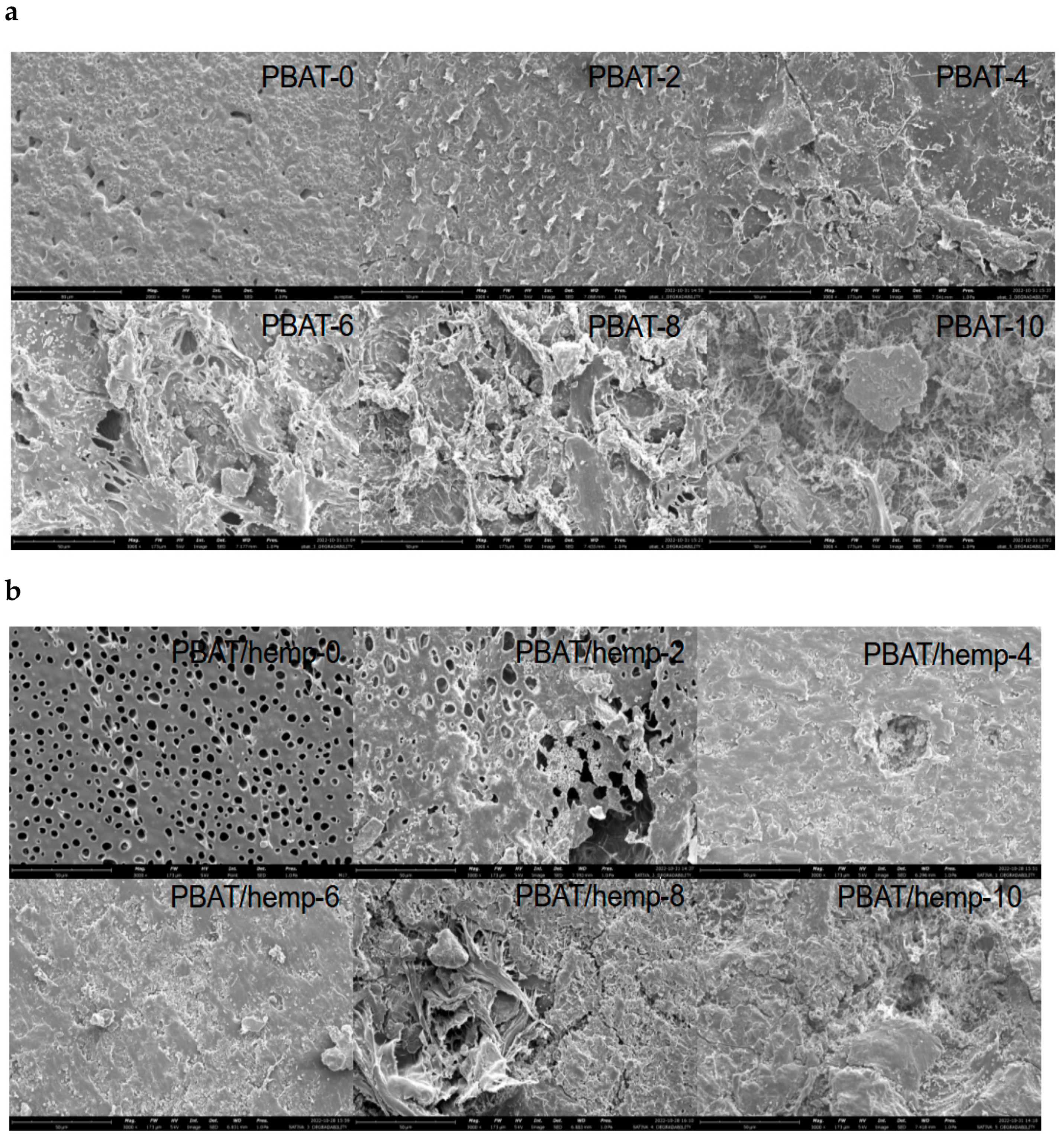 Coatings 13 01195 g009