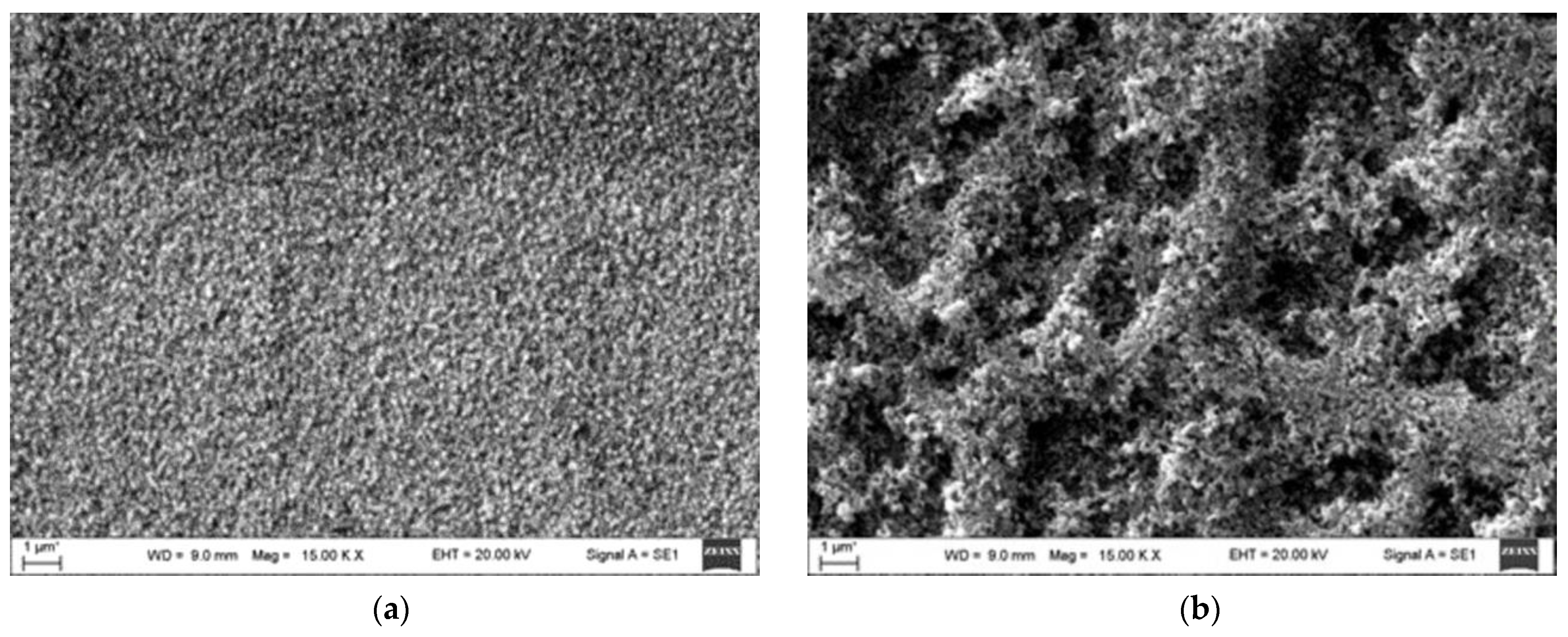 Coatings 13 01197 g004 Coatings 13 01197 g004