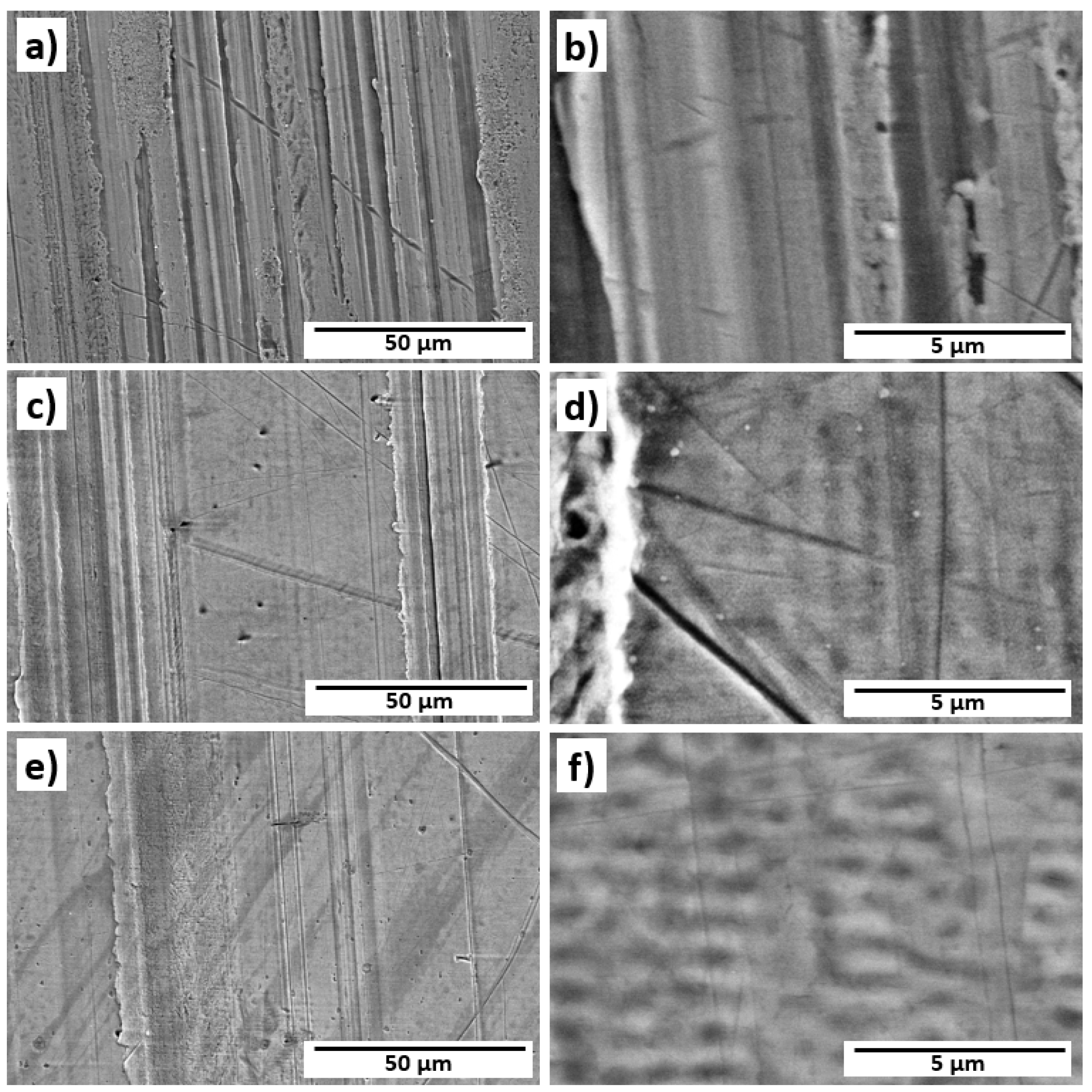 Coatings 13 01199 g010 Coatings 13 01199 g010