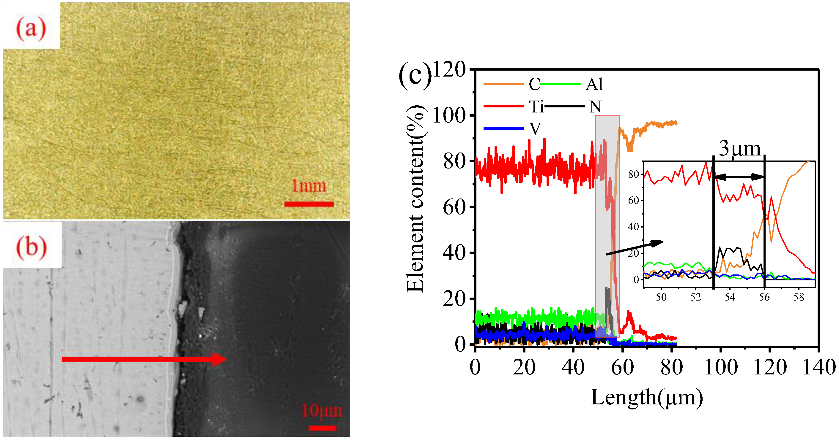 Coatings 13 01209 g002