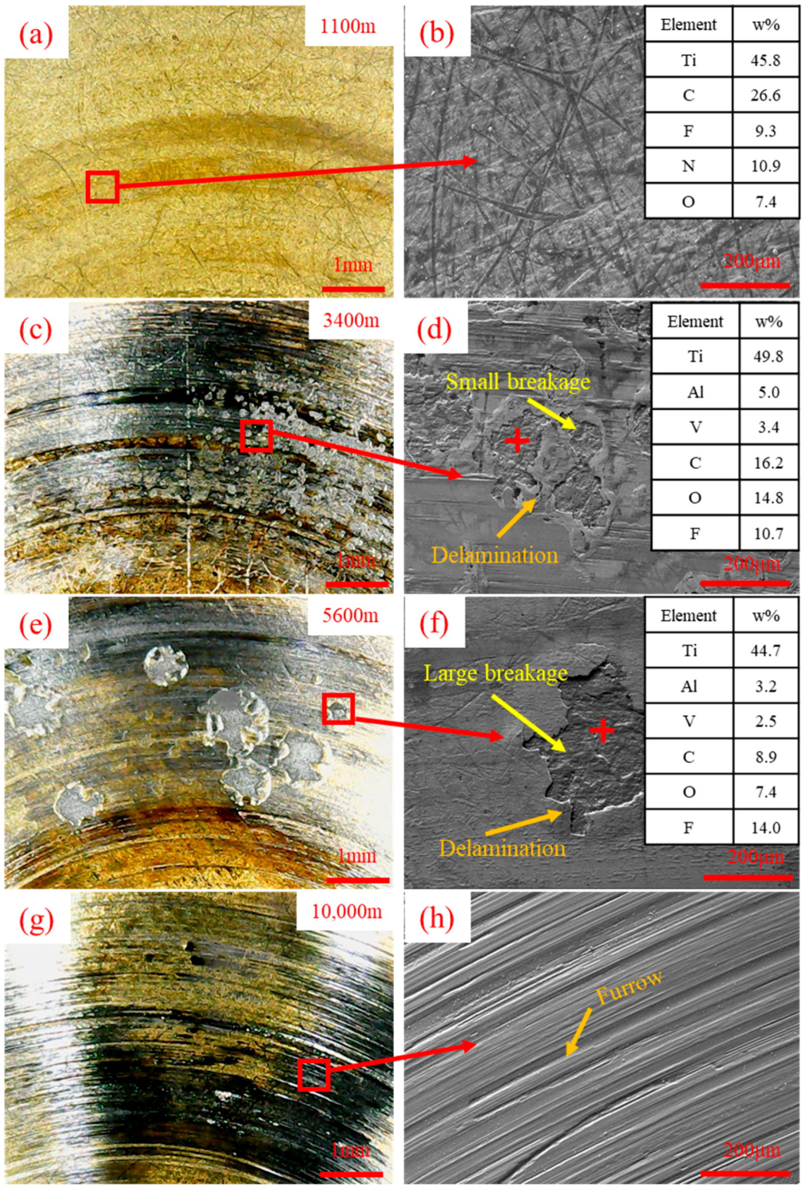 Coatings 13 01209 g007
