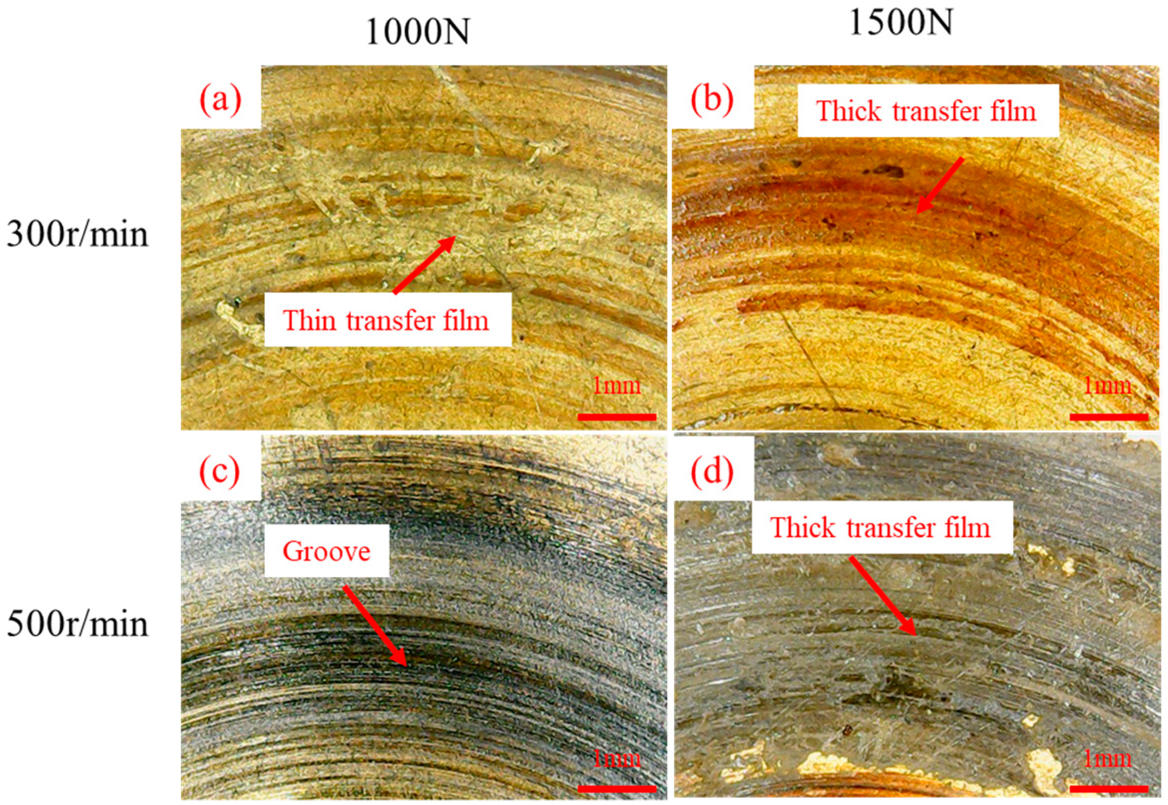 Coatings 13 01209 g008