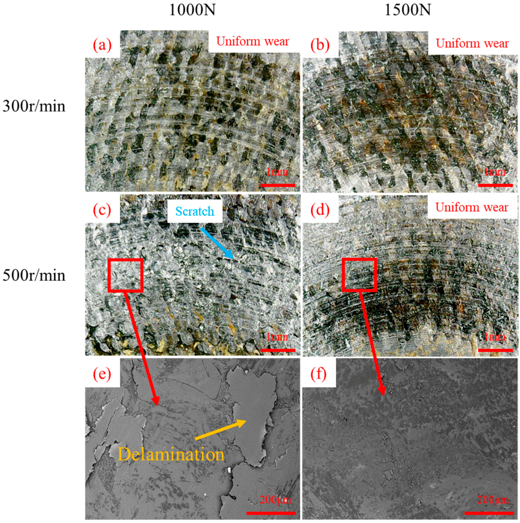 Coatings 13 01209 g009