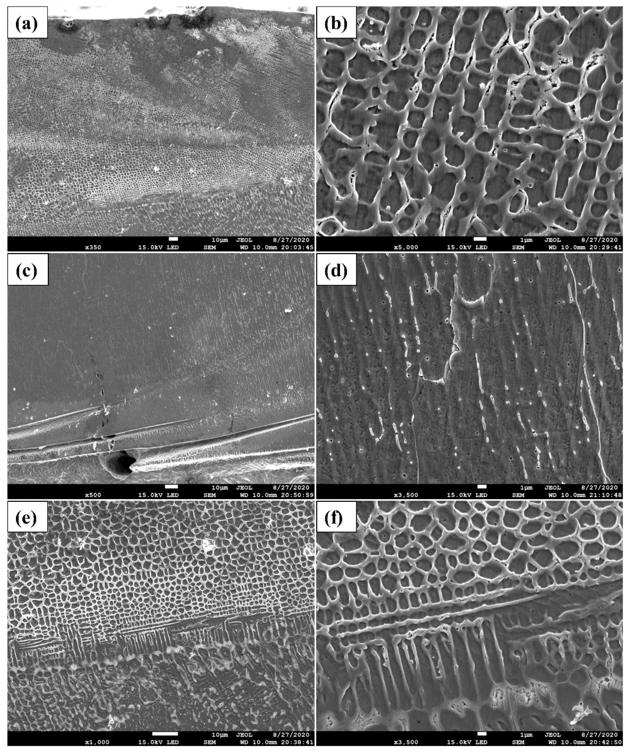 Coatings 13 01211 g003