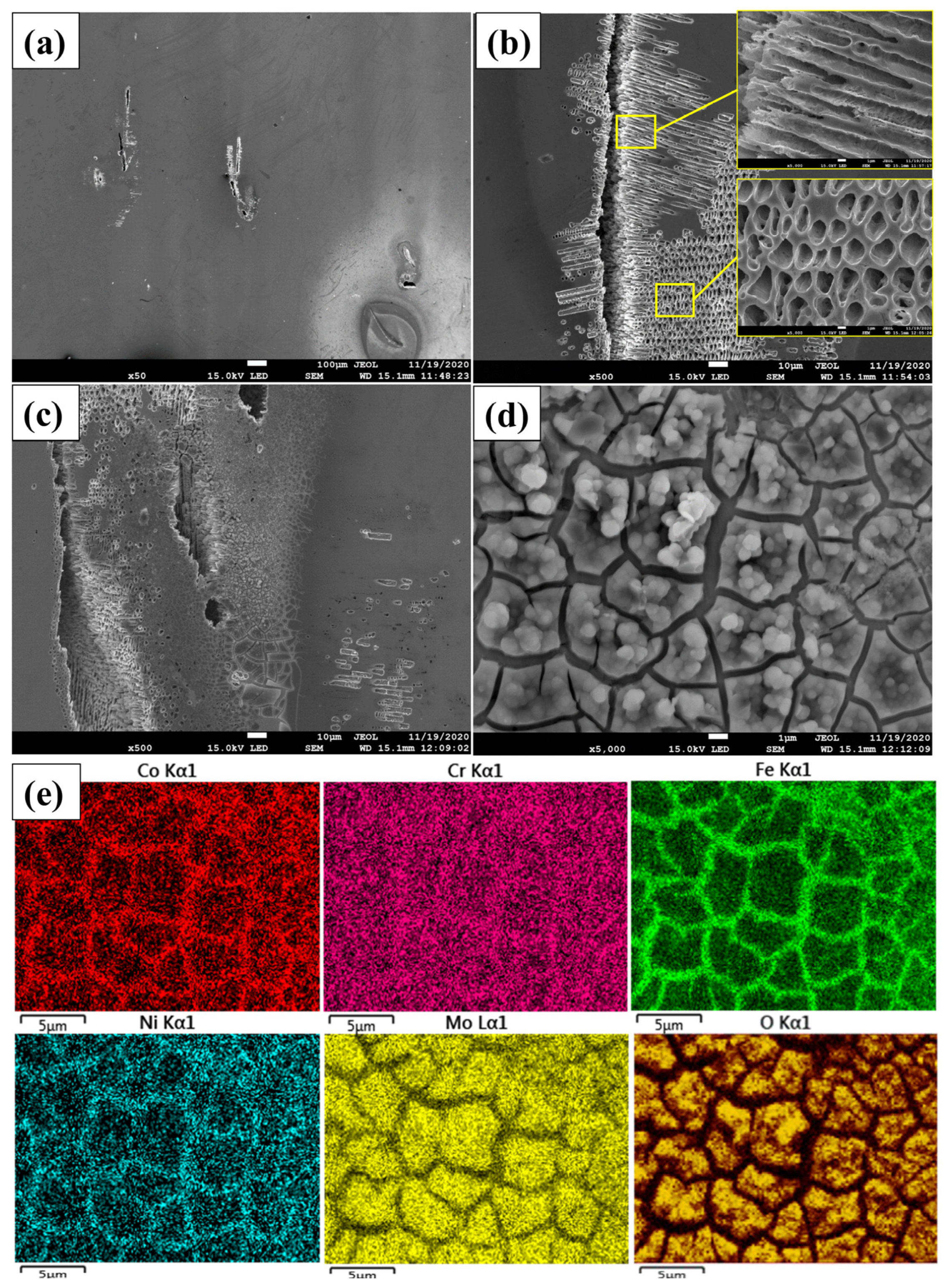 Coatings 13 01211 g009