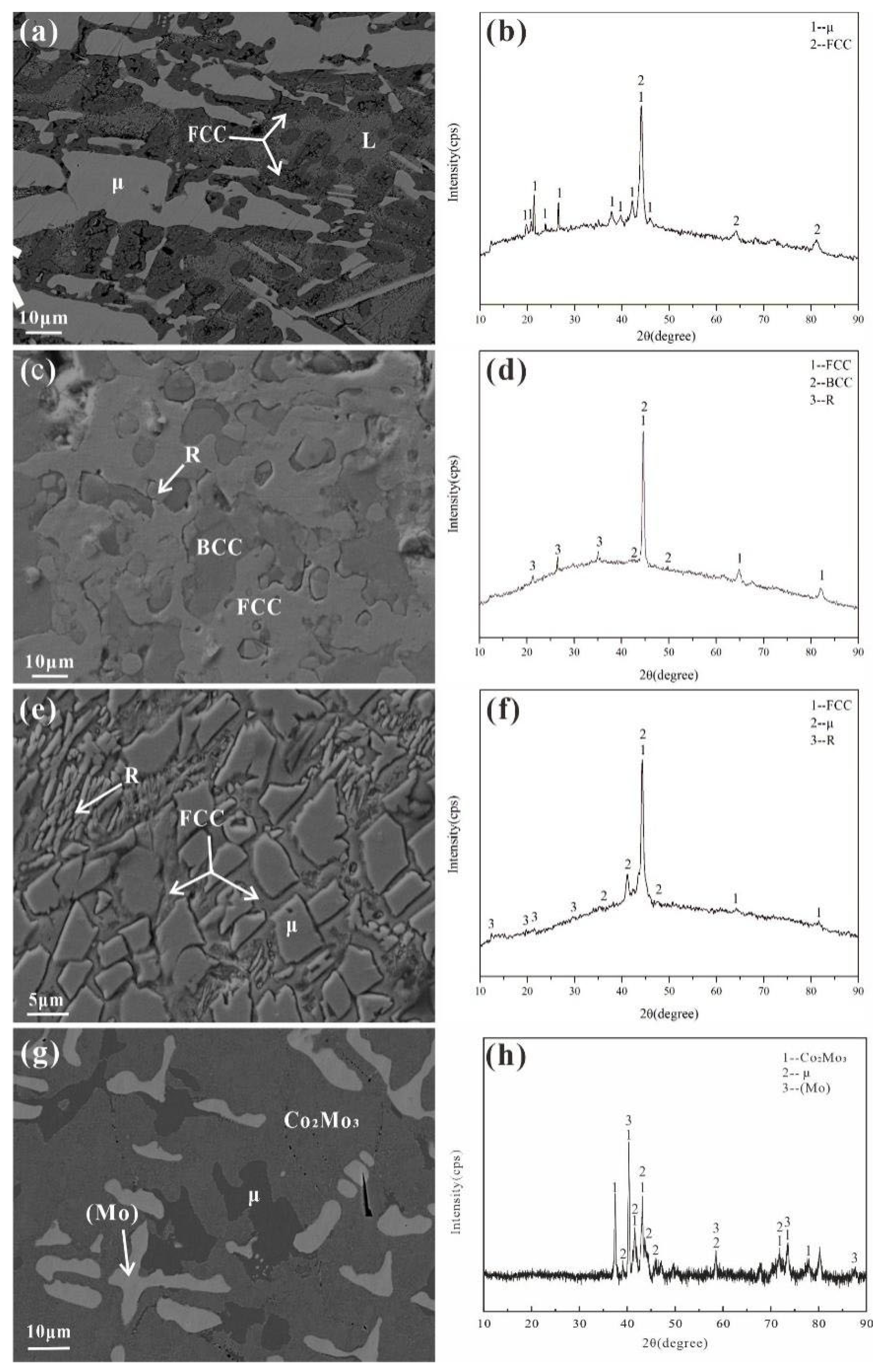 Coatings 13 01215 g003
