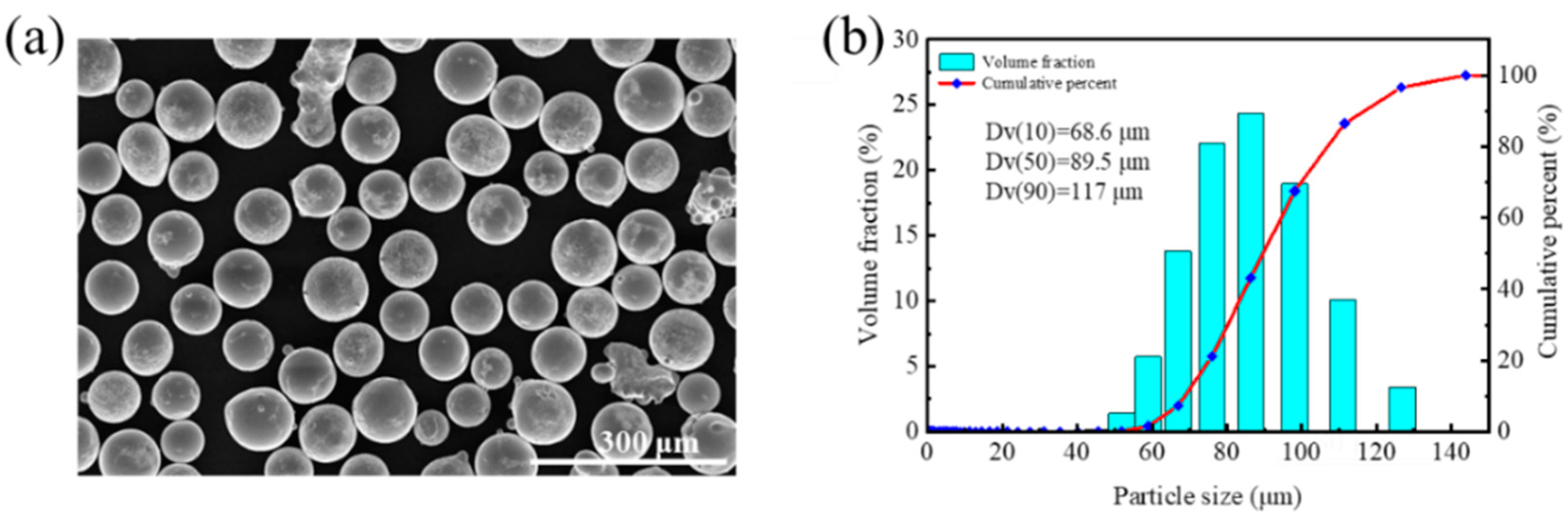 Coatings 13 01216 g001