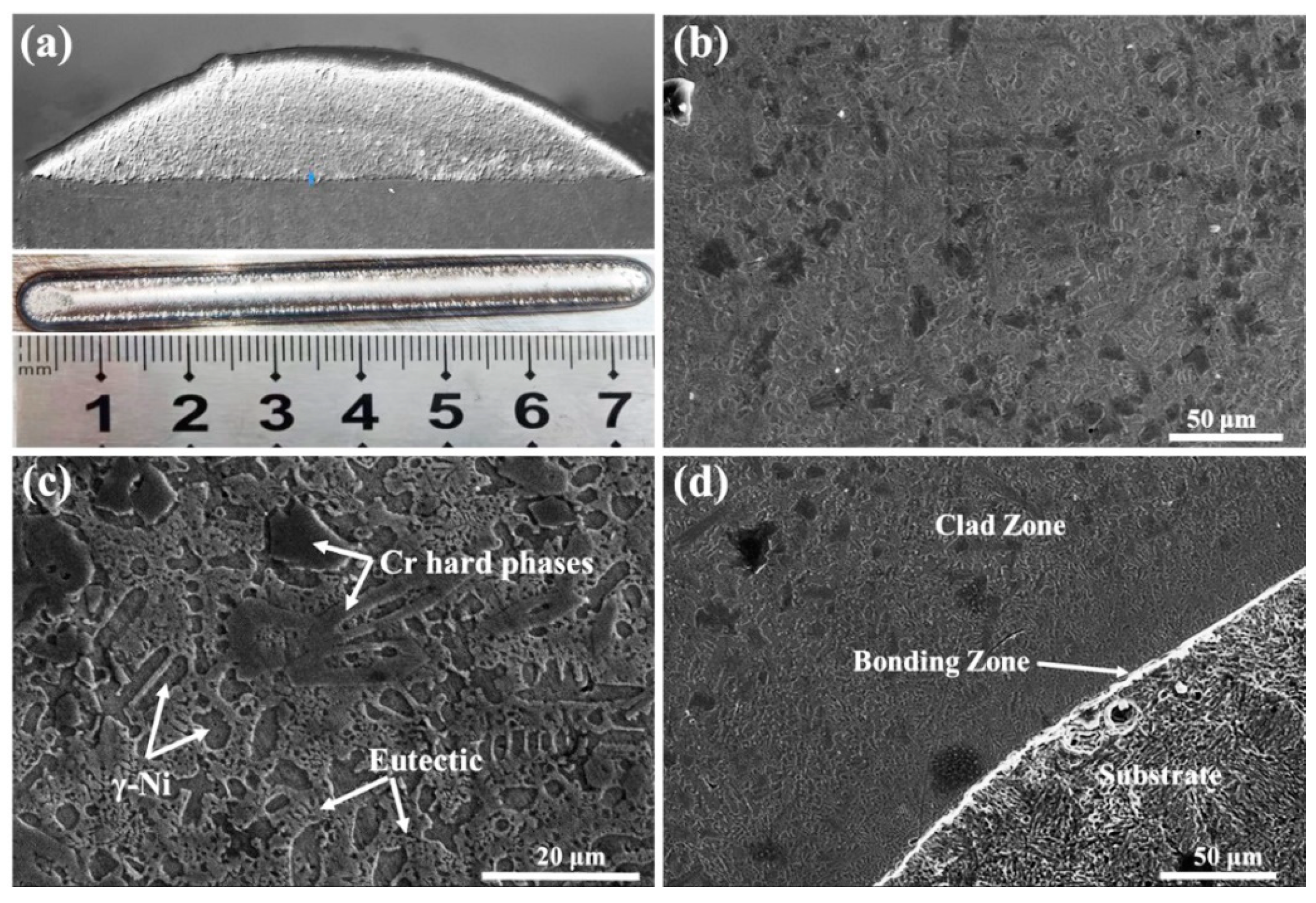 Coatings 13 01216 g005