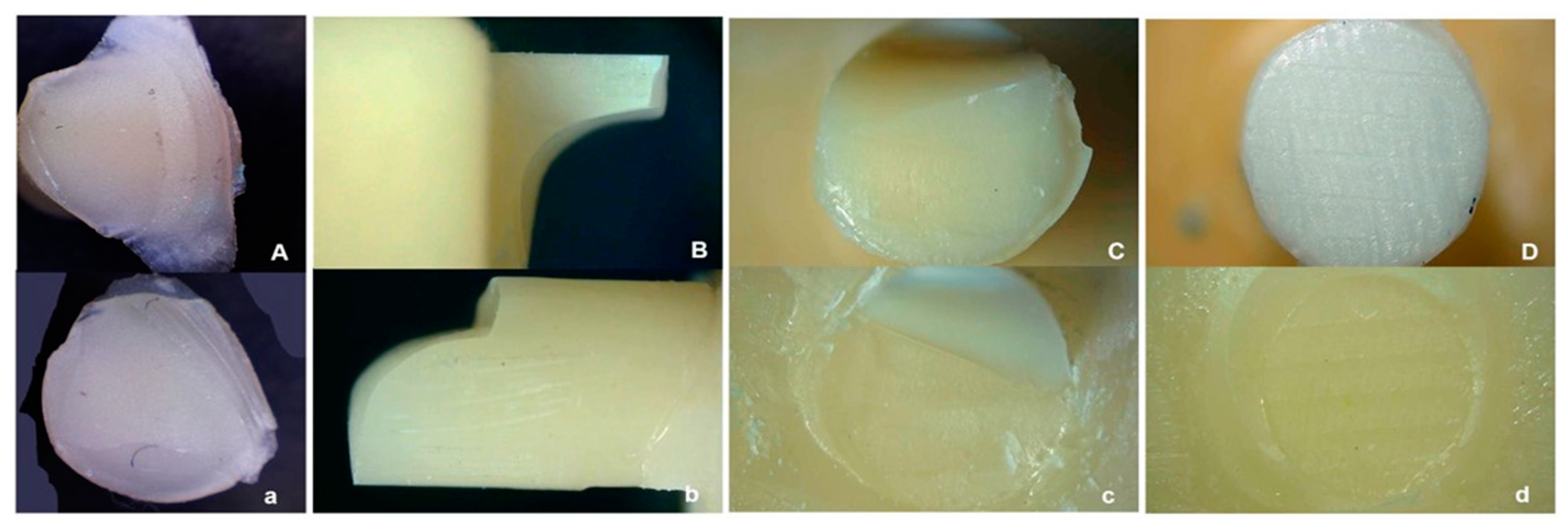 Coatings 13 01218 g014