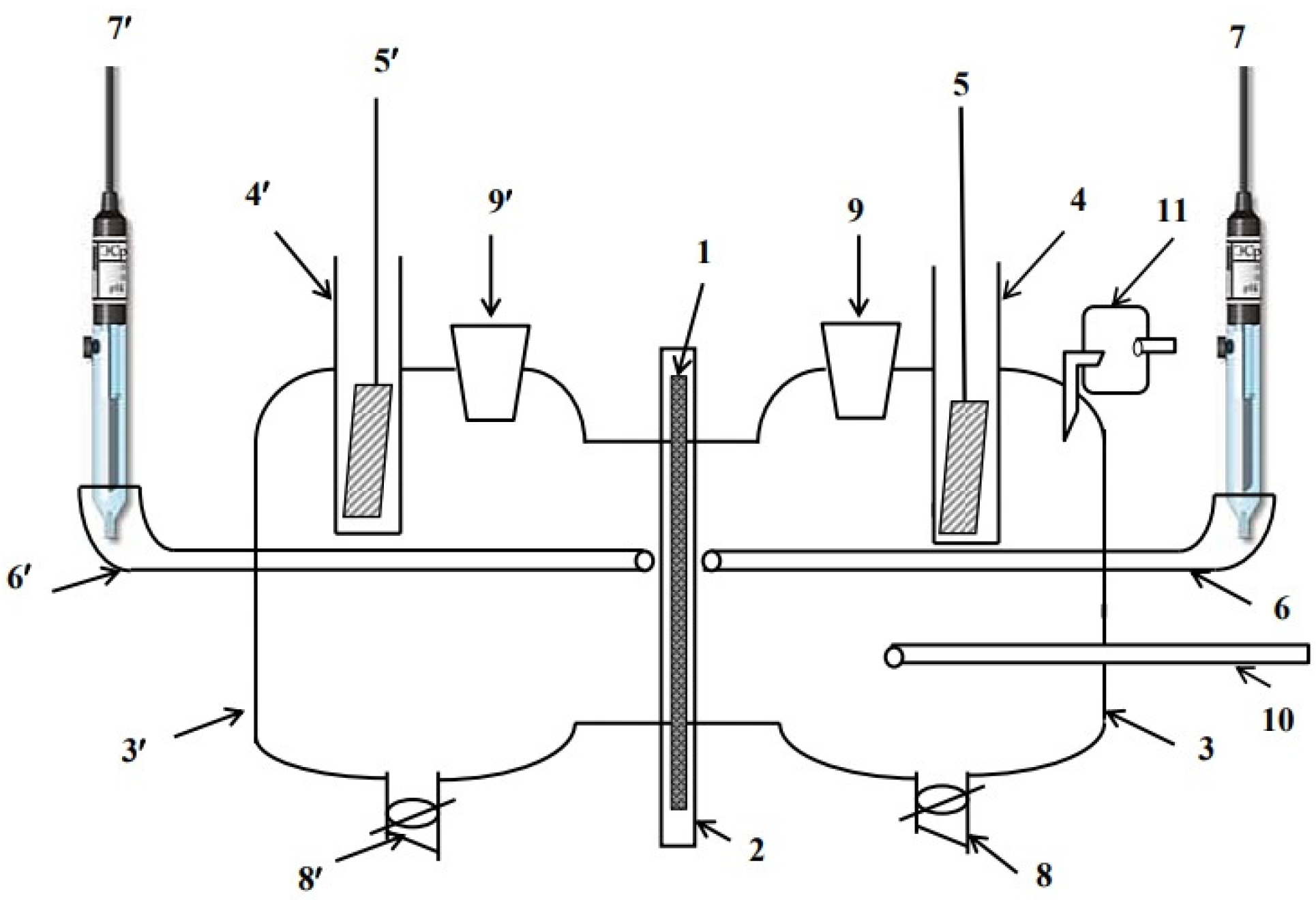 Coatings 13 01221 g001