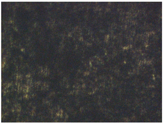 Coatings 13 01221 i003