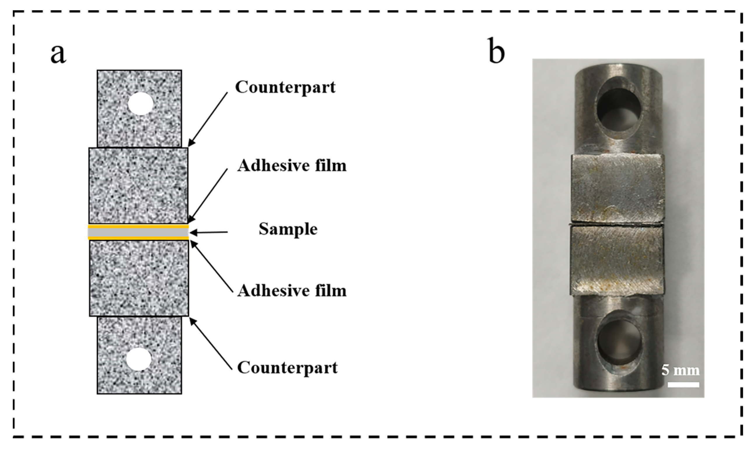 Coatings 13 01224 g001