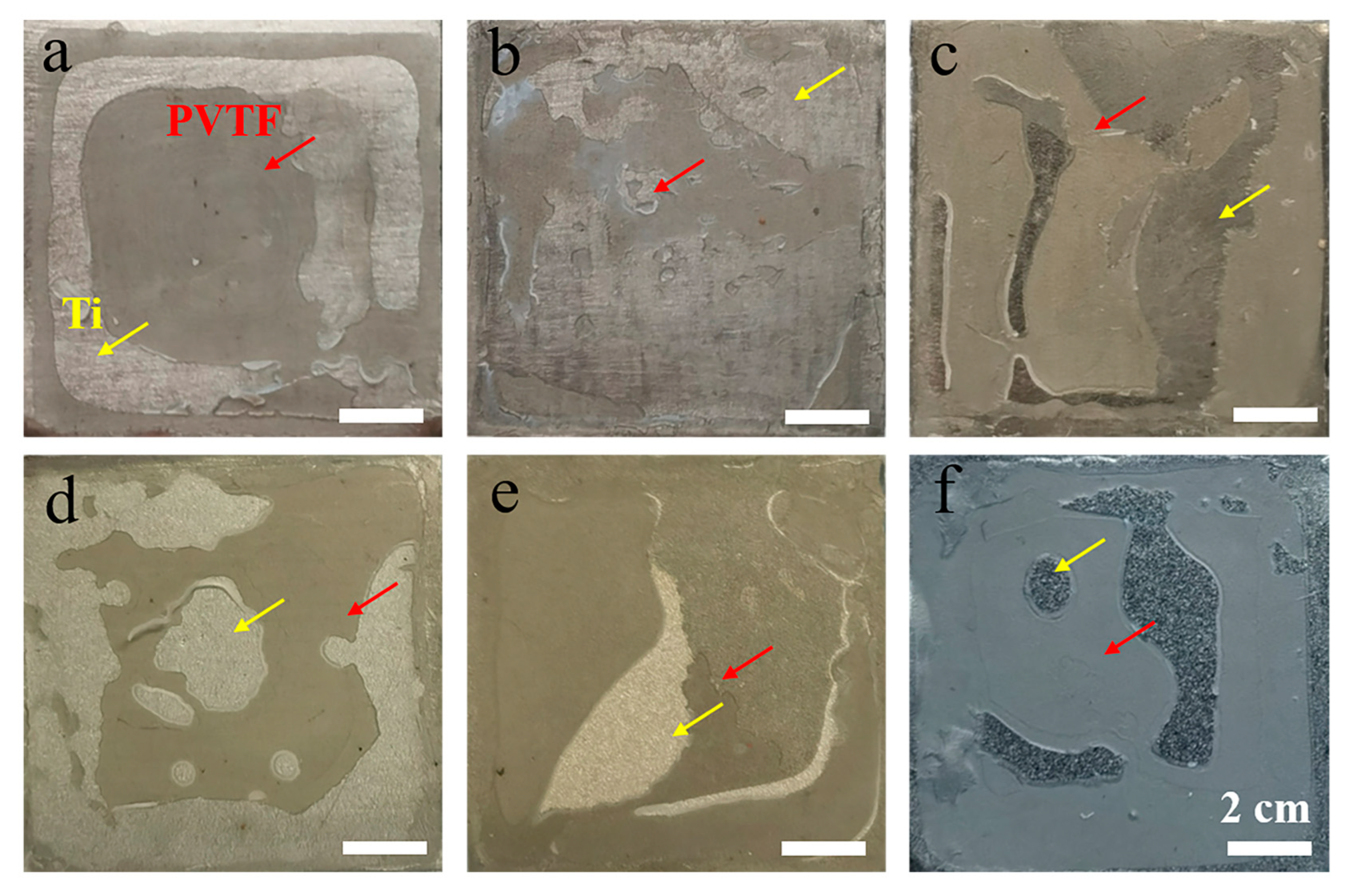 Coatings 13 01224 g007