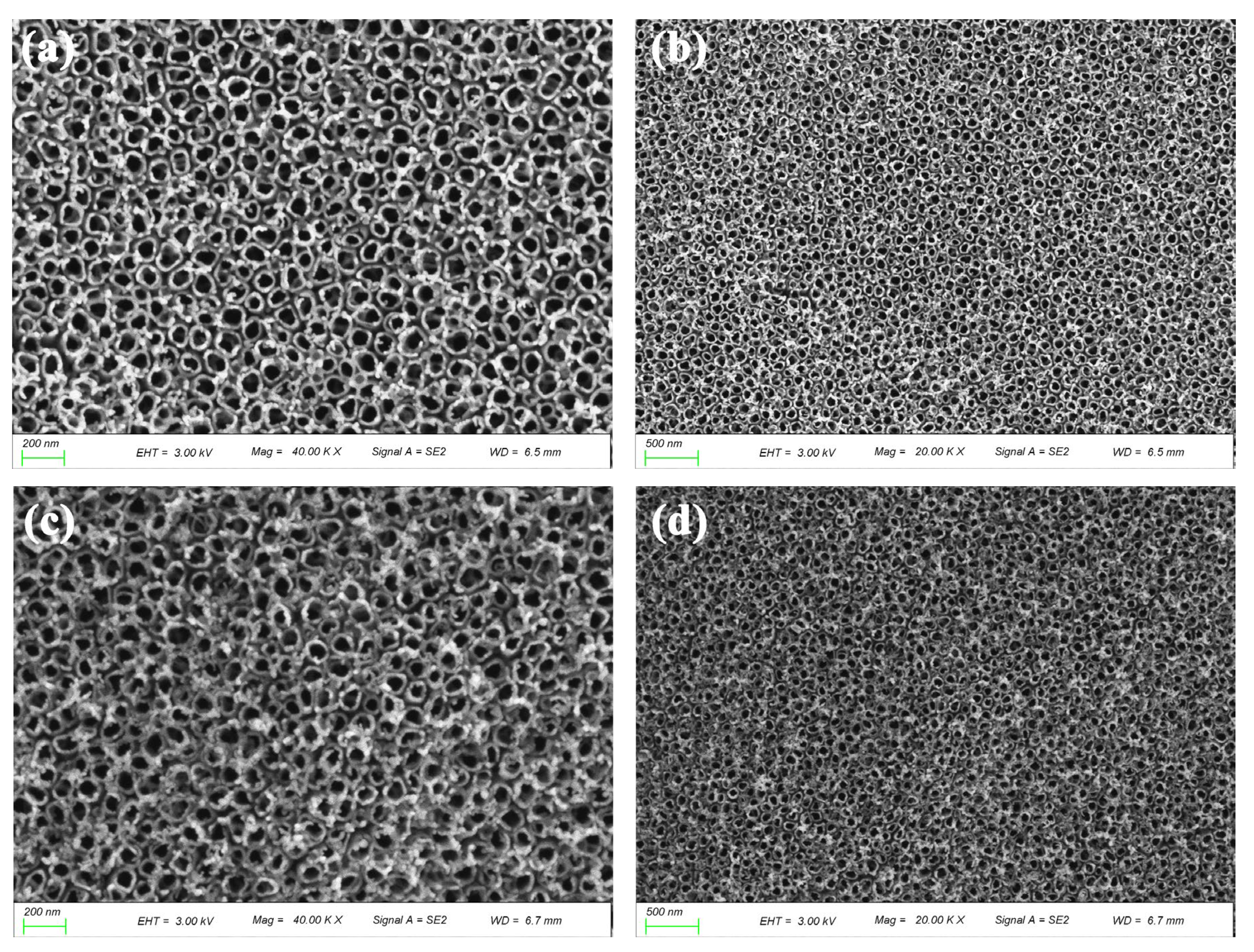 Coatings 13 01230 g002a