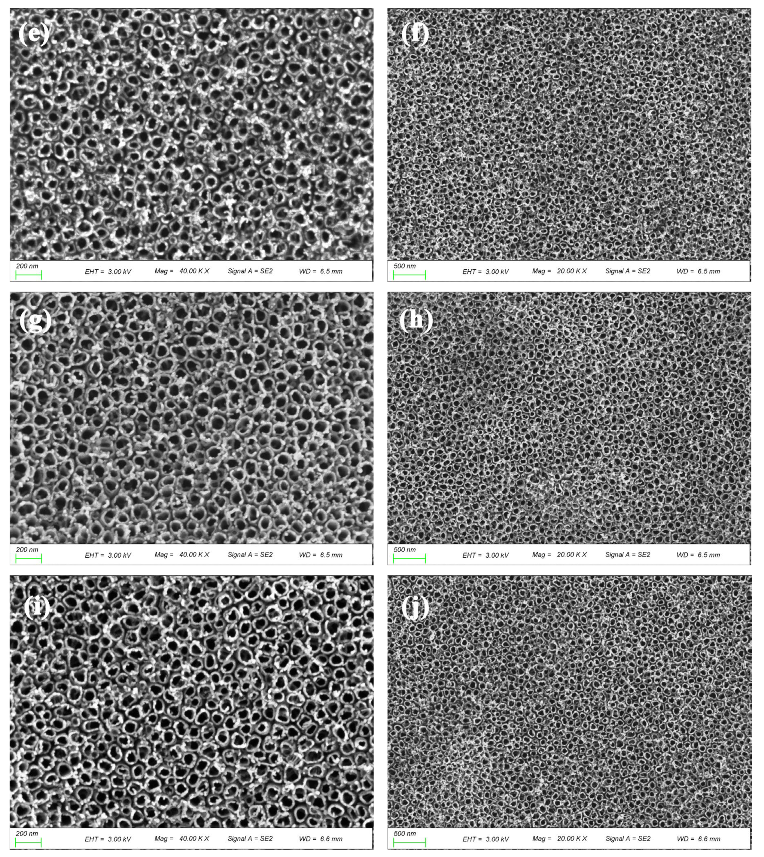 Coatings 13 01230 g002b