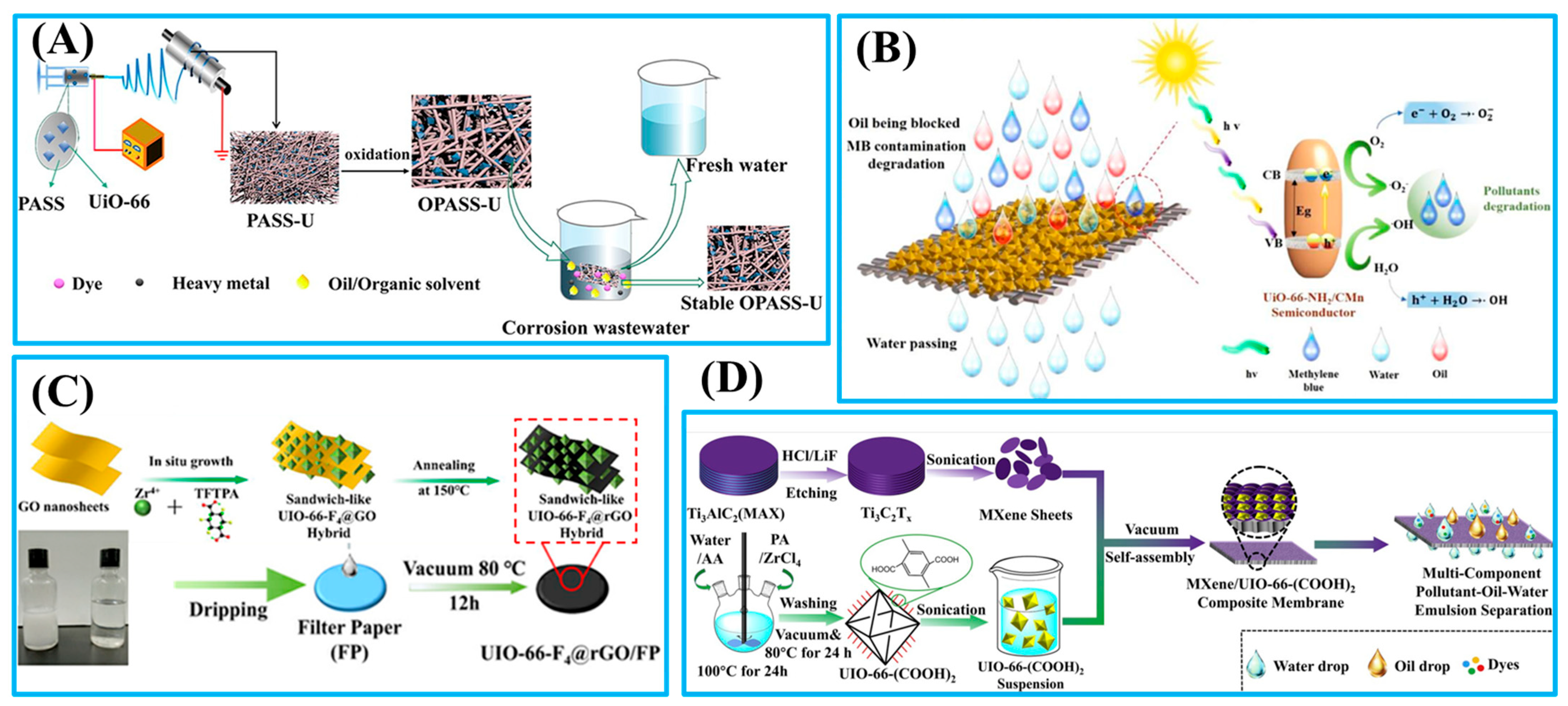 Coatings 13 01241 g006