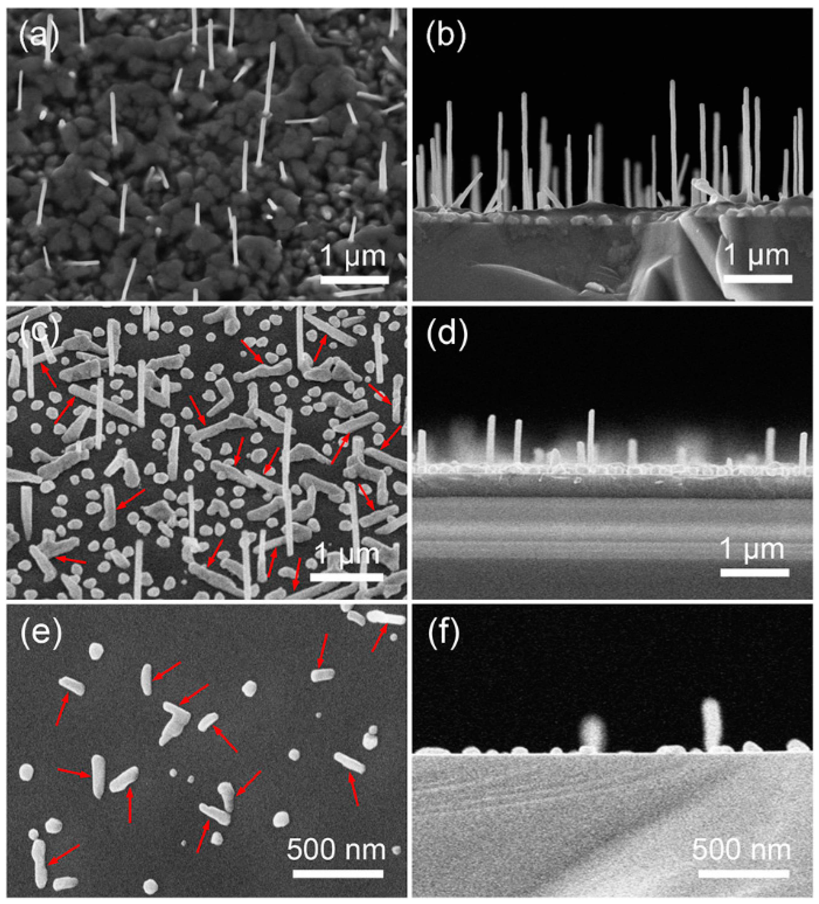 Coatings 13 01243 g001